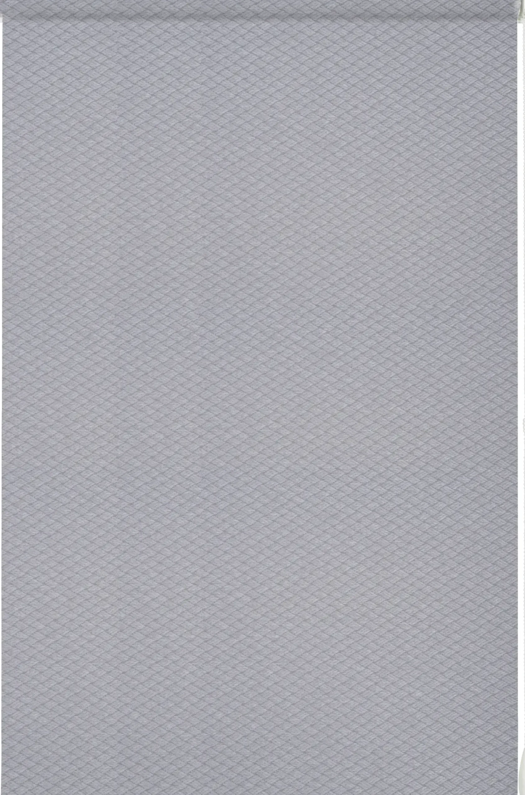 Gardinia EasyFix Rollo hellgrau 120 x 160 cm Shaun