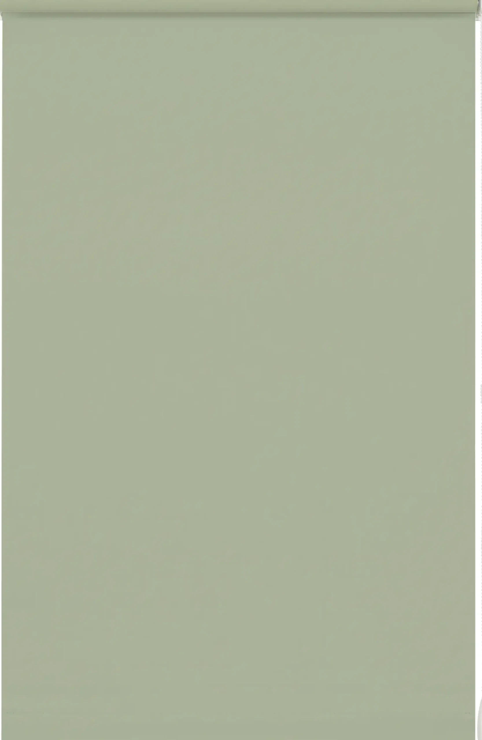 Gardinia EasyFix Rollo mintgrün 100 x 150 cm