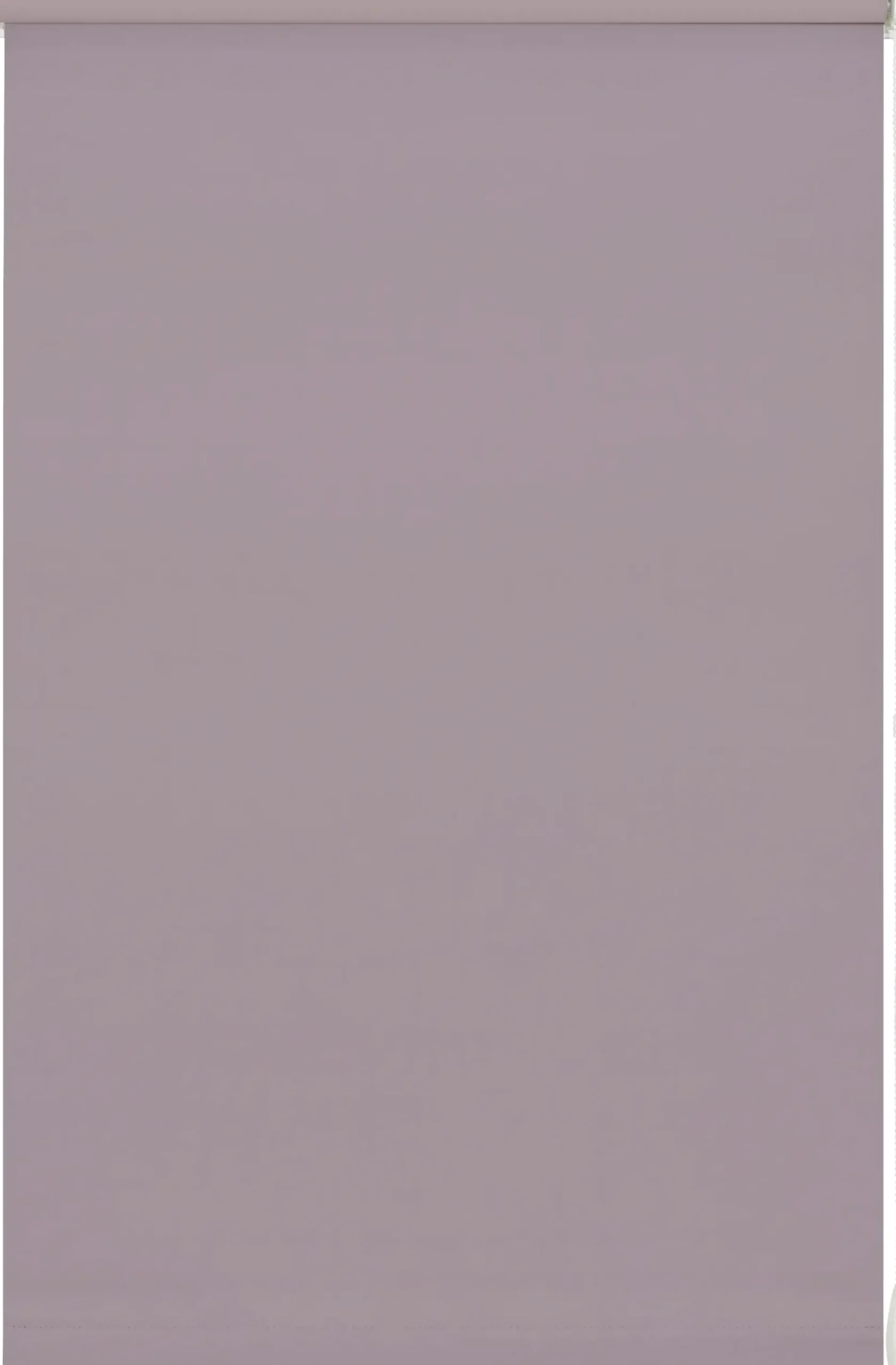 Gardinia EasyFix Rollo perlrosa 60 x 150 cm