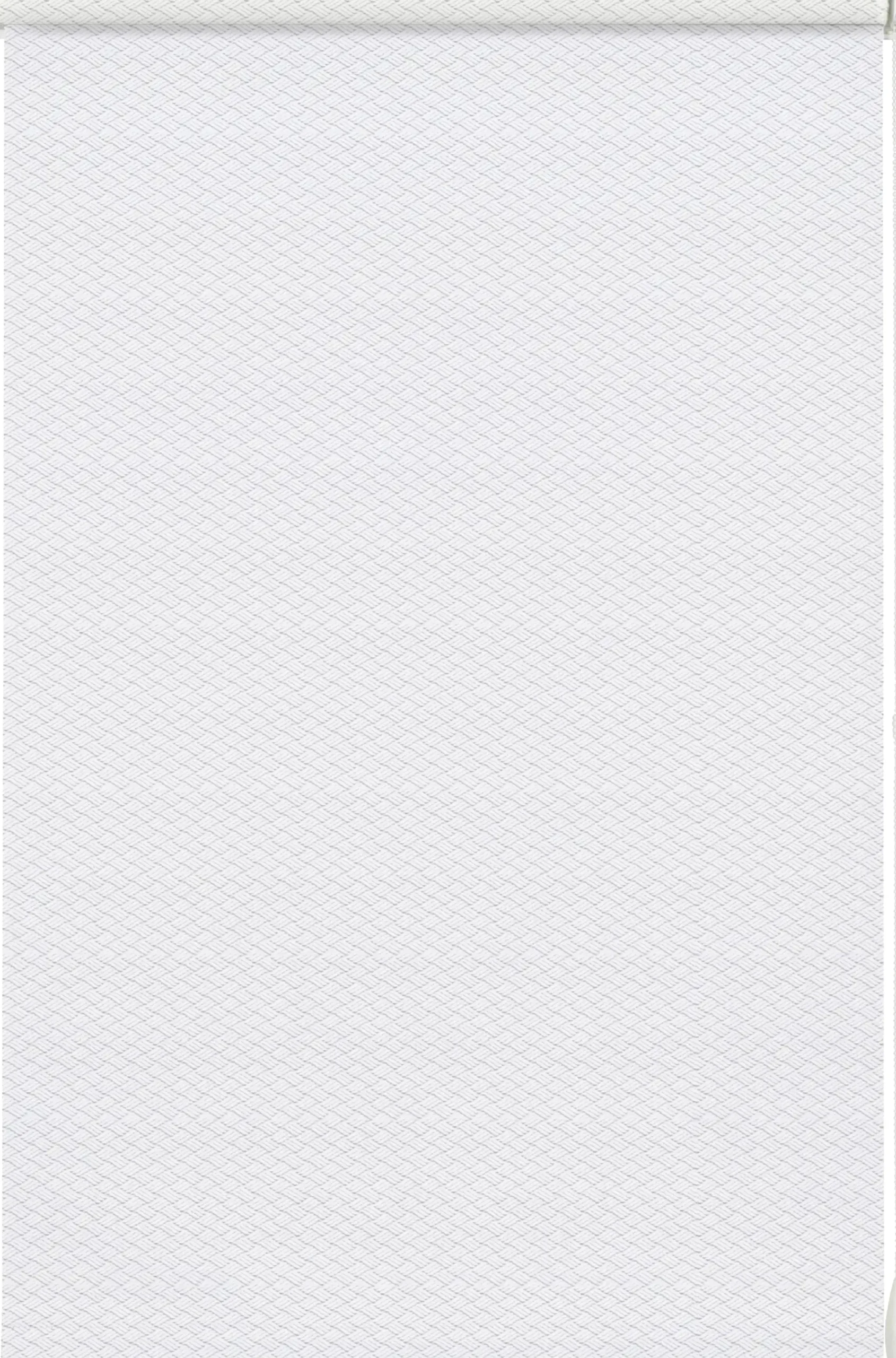 Gardinia EasyFix Rollo weiß 60 x 160 cm Shaun