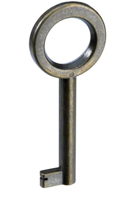 Hettich Buntbart-Schlüssel brüniert 65 x 4 mm Stahl, brüniert, 1 Stück