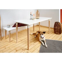 Hettich Möbelfuß 5,0 x 71 cm Buche/Stahl weiß - 1 Stück