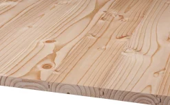 Hobeldiele Rauspund Douglasie 250 x 9,6 cm 19 mm gehobelt