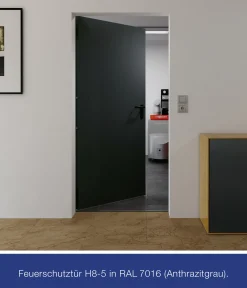 Hörmann Kellertür anthrazitgrau 100 x 200 cm Links/Rechts