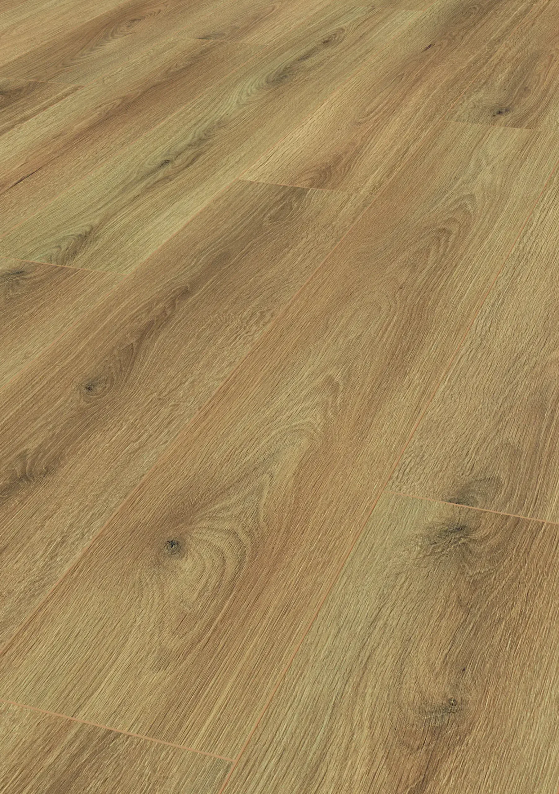 Krono Original Laminat mit Trittschalldämmung Wide Range Oak Marie