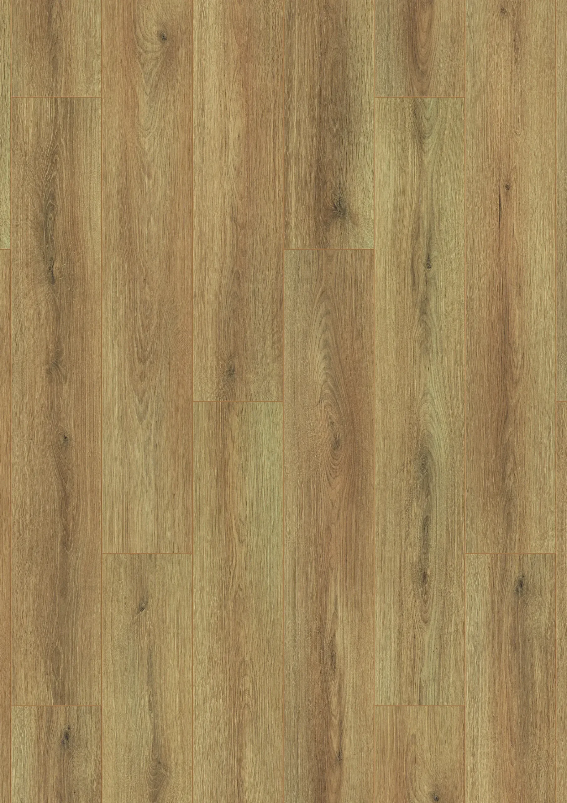 Krono Original Laminat mit Trittschalldämmung Wide Range Oak Marie