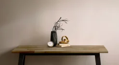 Mehrzweckplatte Akazie unbehandelt 200 x 60 cm 26 mm