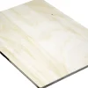 Multiplex-Platte 3m Birke 6,5 mm Birke, Stärke: 6,5 mm