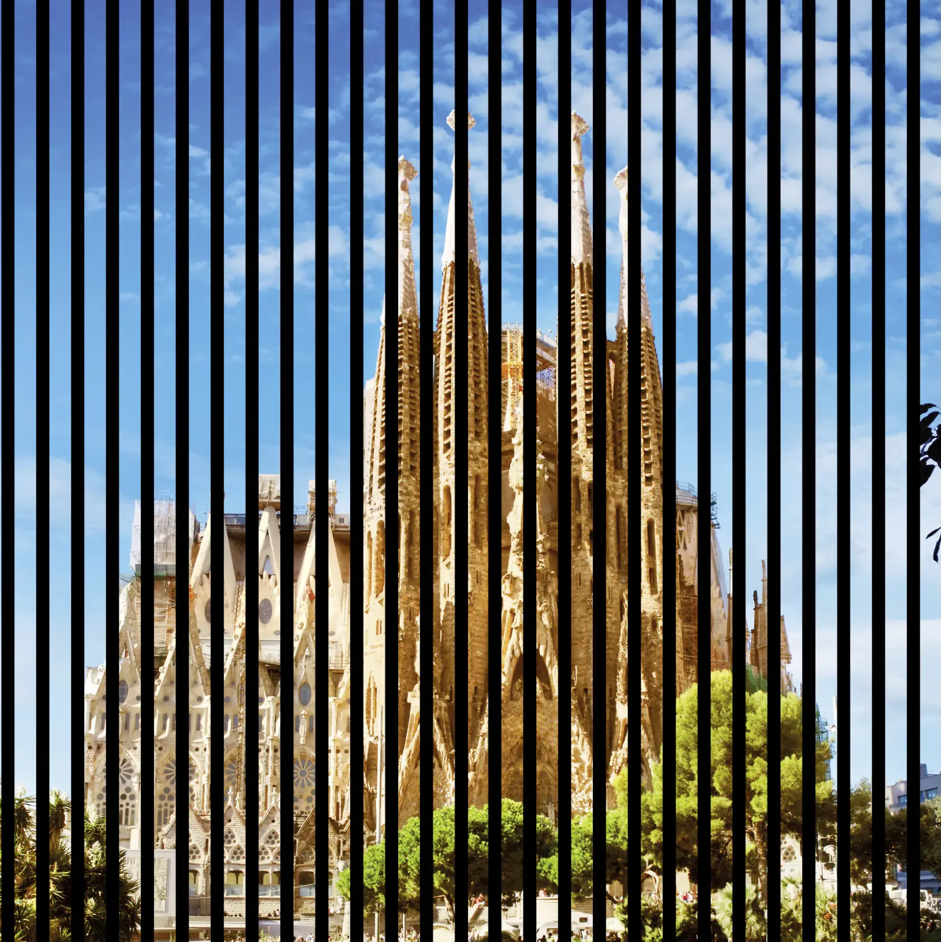 Neuhofer Akustikpaneele Barcelona 119,5 x 113,3 x 1,9 cm