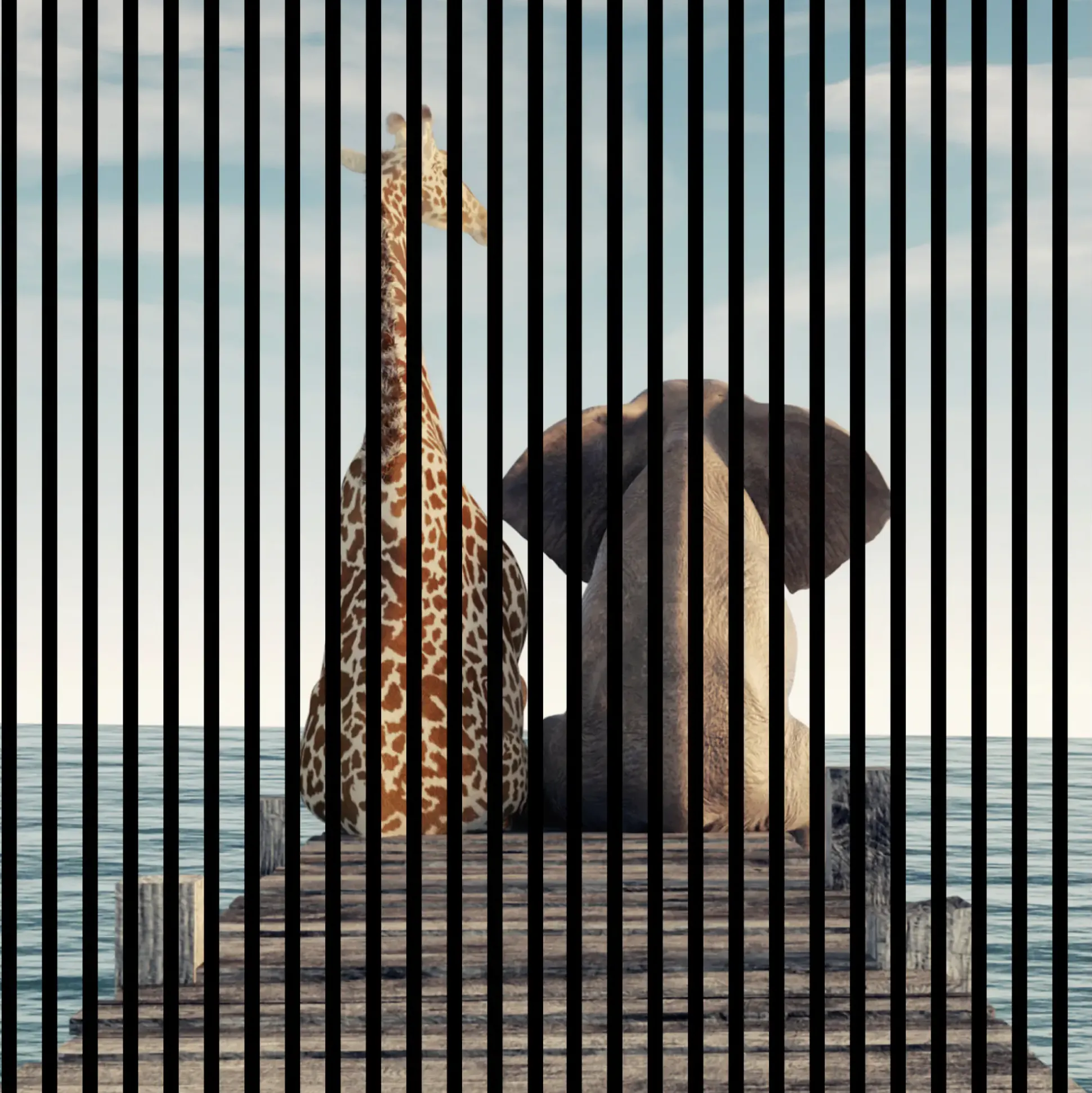 Neuhofer Akustikpaneele Elefant und Giraffe 119,5 x 113,3 x 1,9 cm