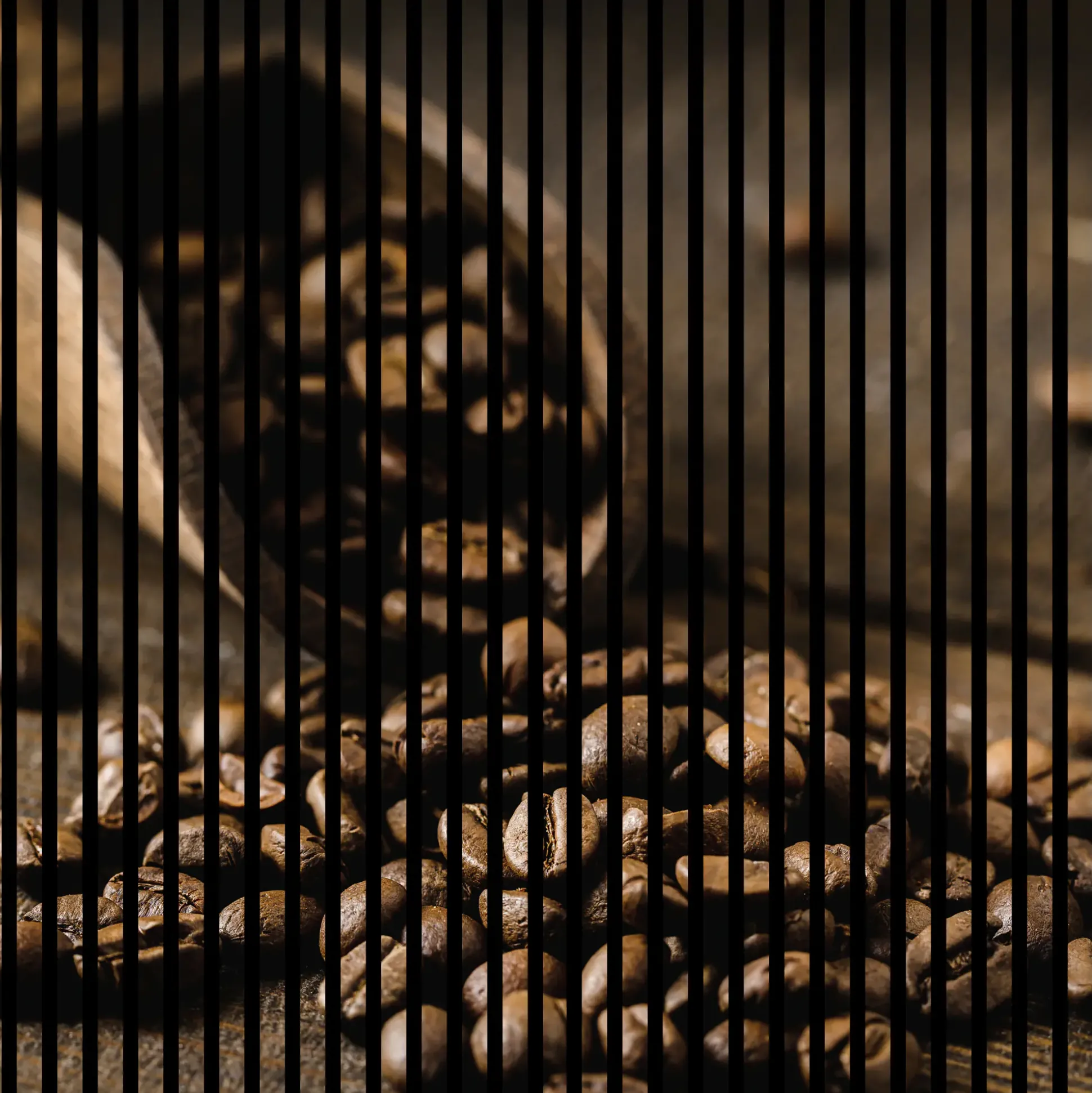 Neuhofer Akustikpaneele Kaffee 119,5 x 113,3 x 1,9 cm