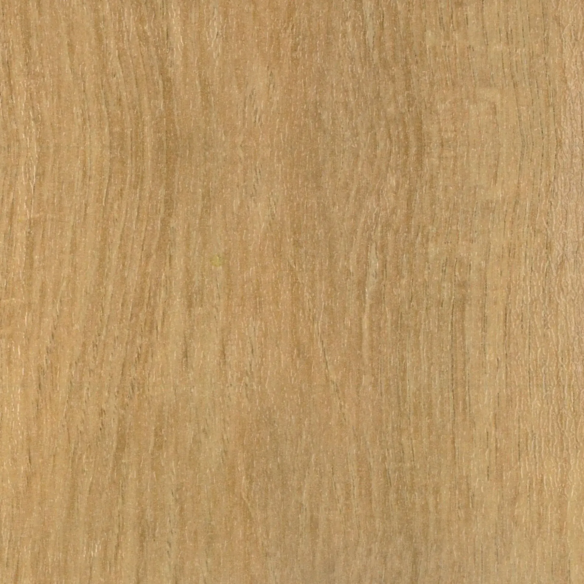 Neuhofer Übergangsprofil Dow-Fix 06 90 x 3,7 x 0,6 cm braun