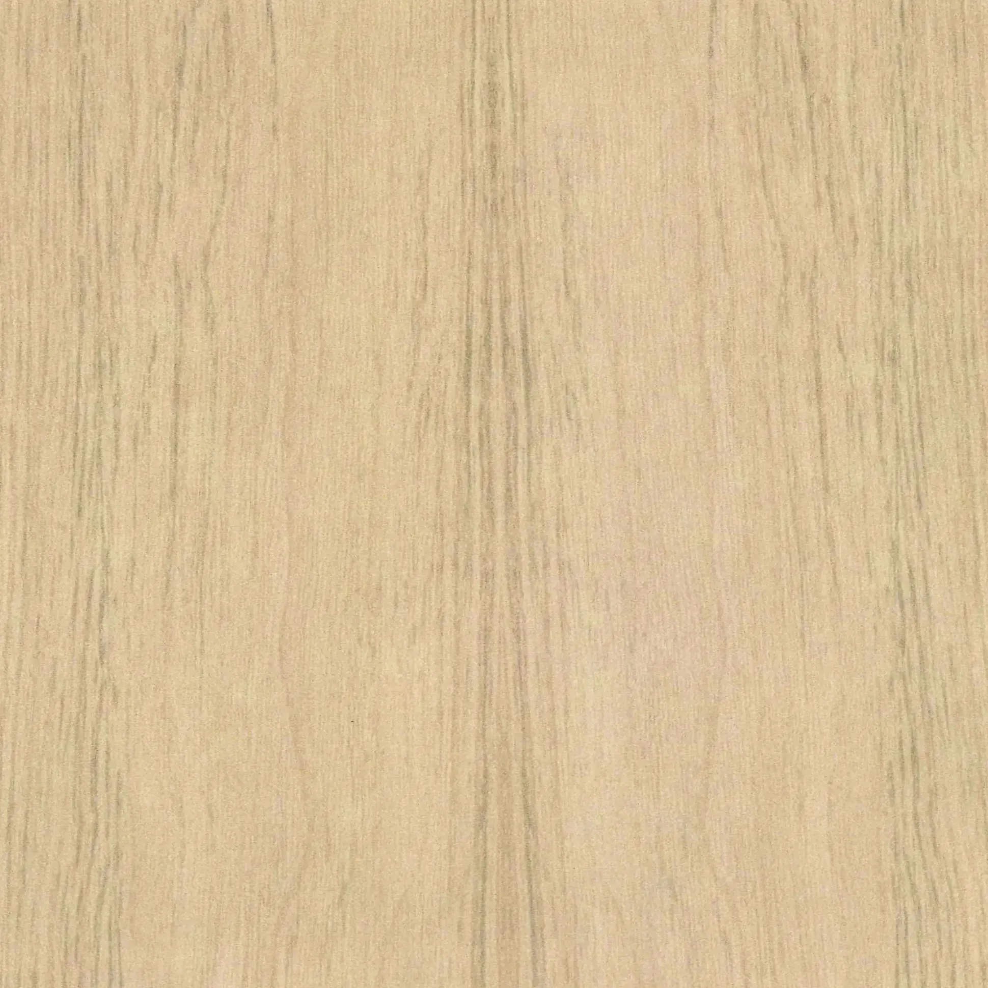 Neuhofer Fußleiste 240 cm 70 x 19 mm Eiche Burlington