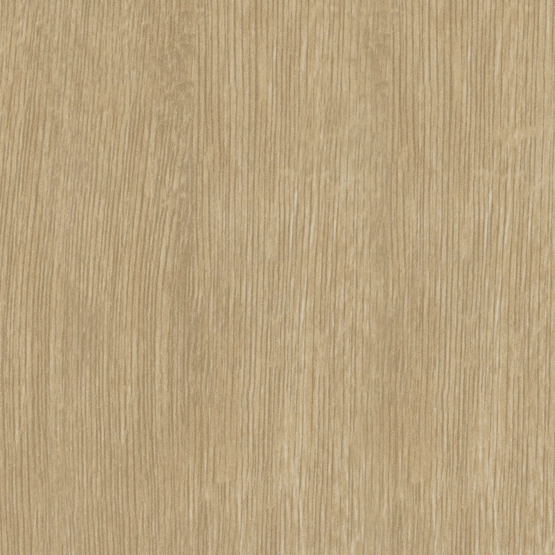 Neuhofer Fußleiste 240 cm 38,5 x 15 mm Eiche nova infinity