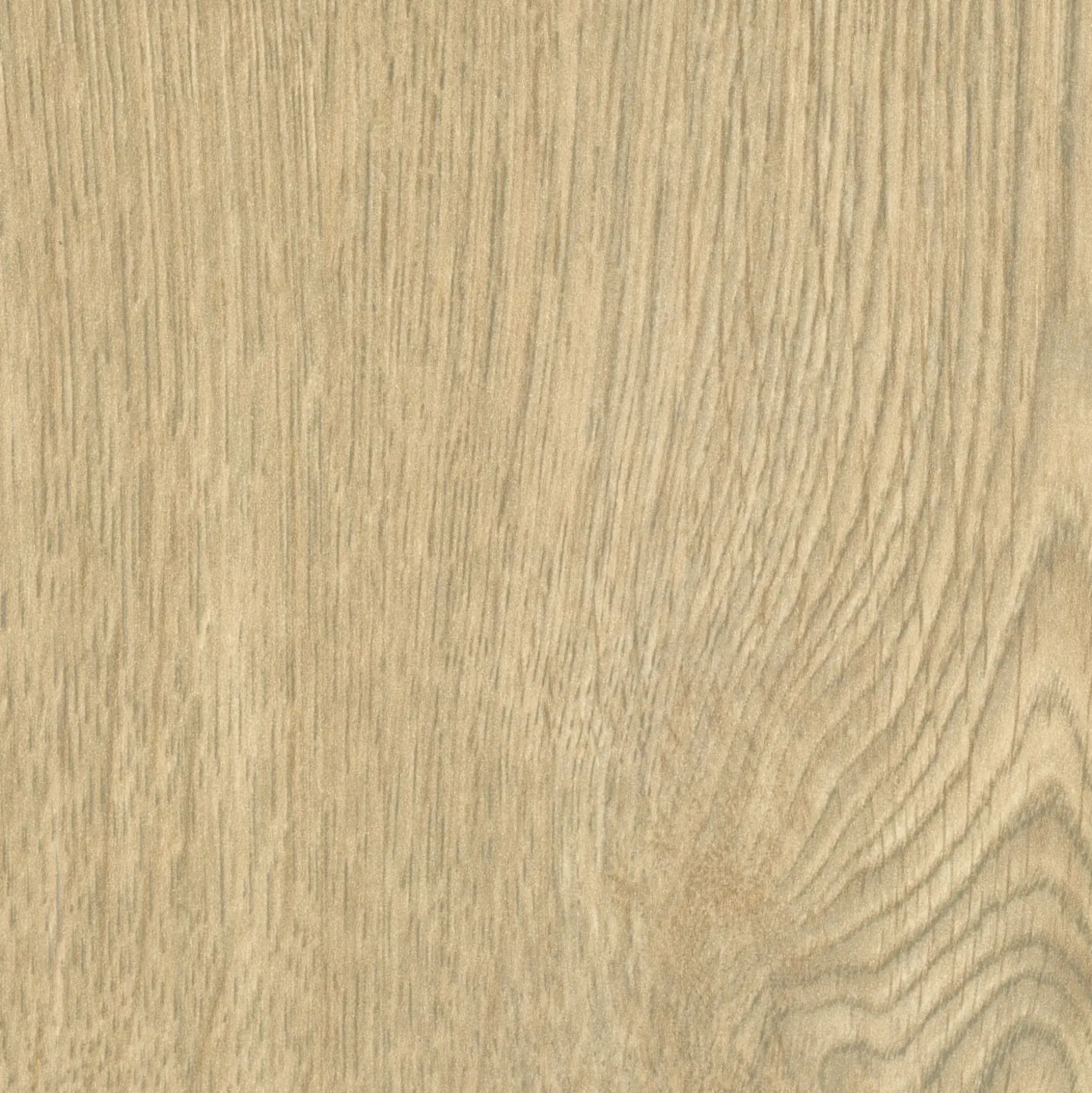 Neuhofer Fußleiste 240 cm 58 x 19 mm Traubeneiche