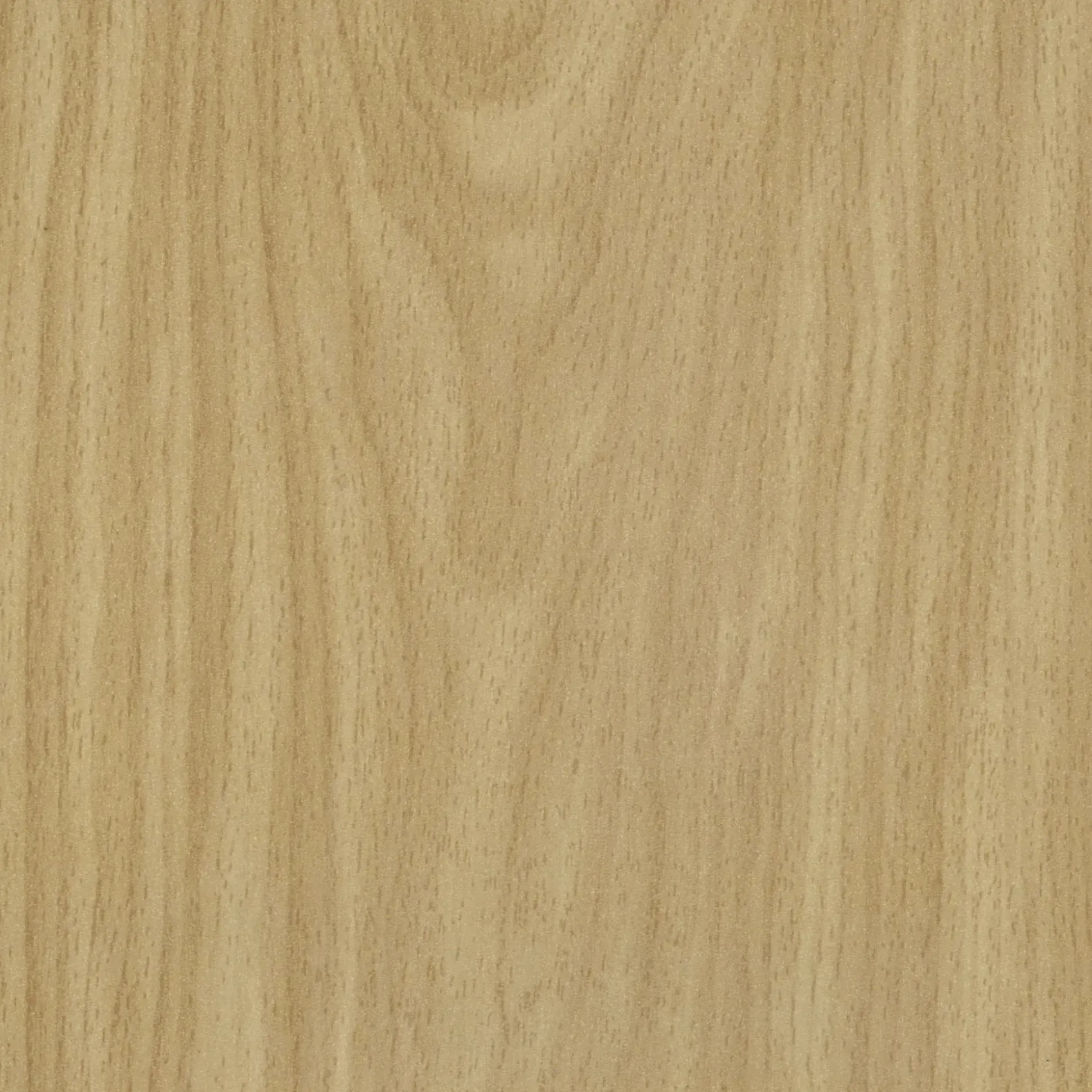Neuhofer Fußleiste 240 cm 58 x 19 mm Buche Royal SB