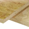 OSB-3 Platte ungeschliffen 12 mm