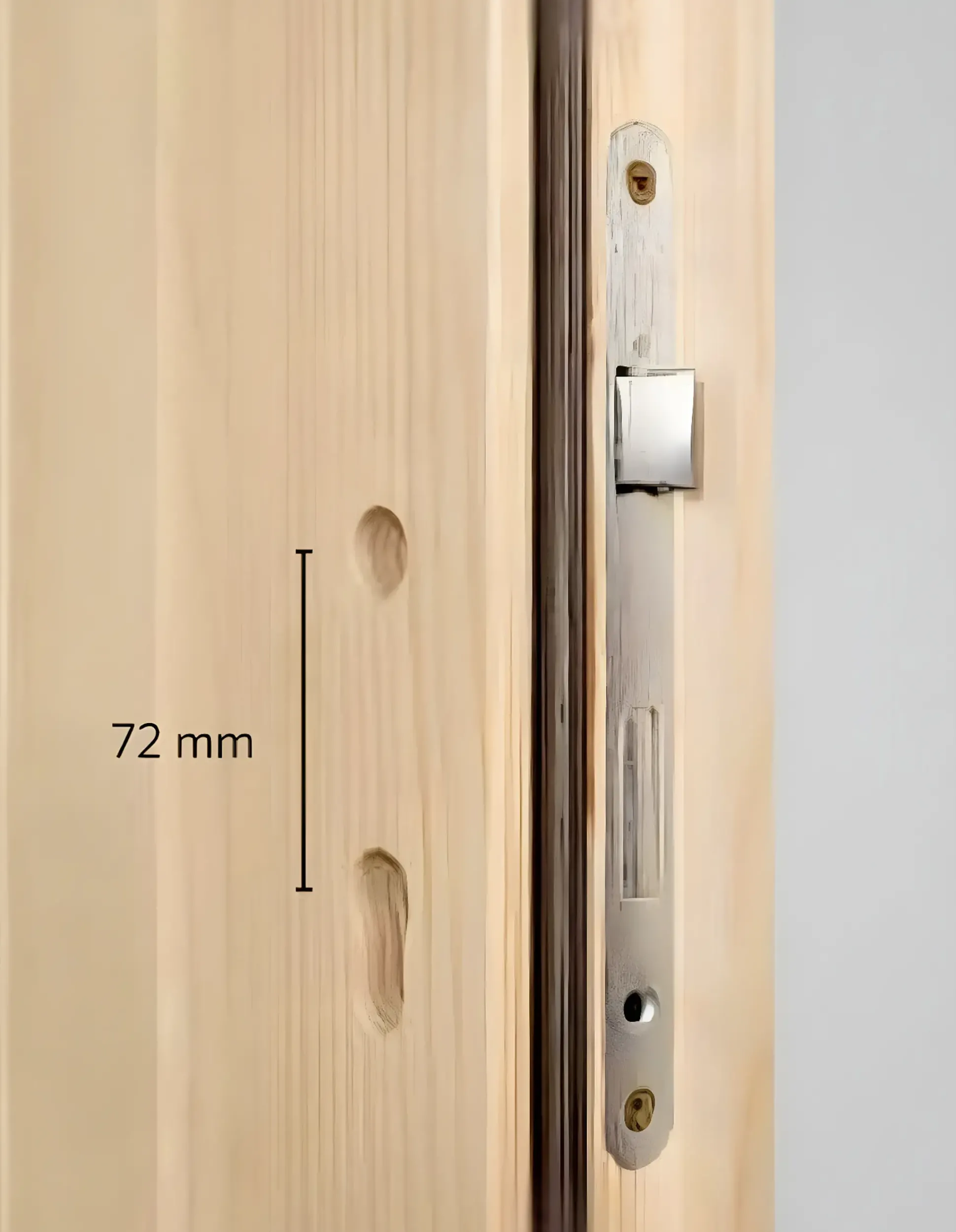 Panto Nebeneingangstür Holz 501 98 x 198 cm DIN Rechts
