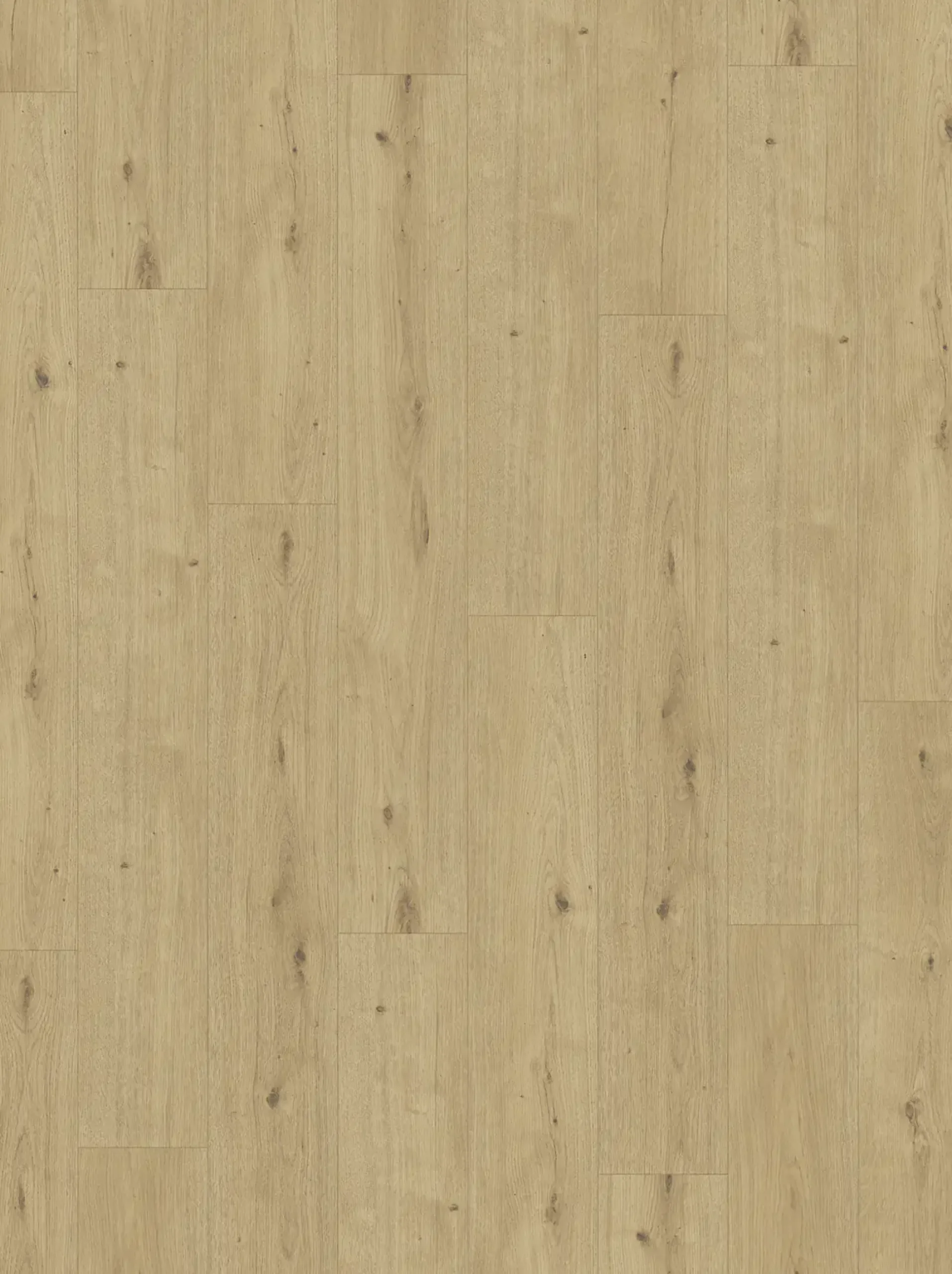 Parador Designboden Modular ONE Haydron Eiche Atmosphere natur Landhaus