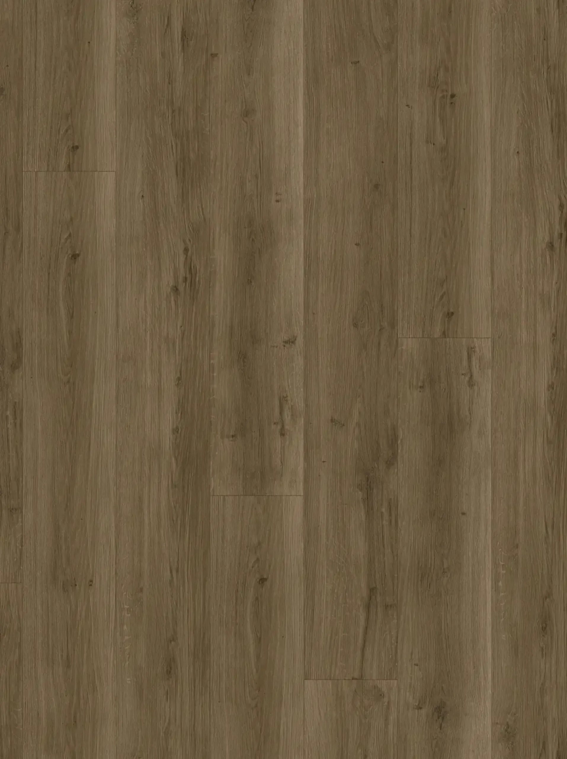 Parador Designboden Modular ONE Eiche Spirit geräuchert Holzstruktur