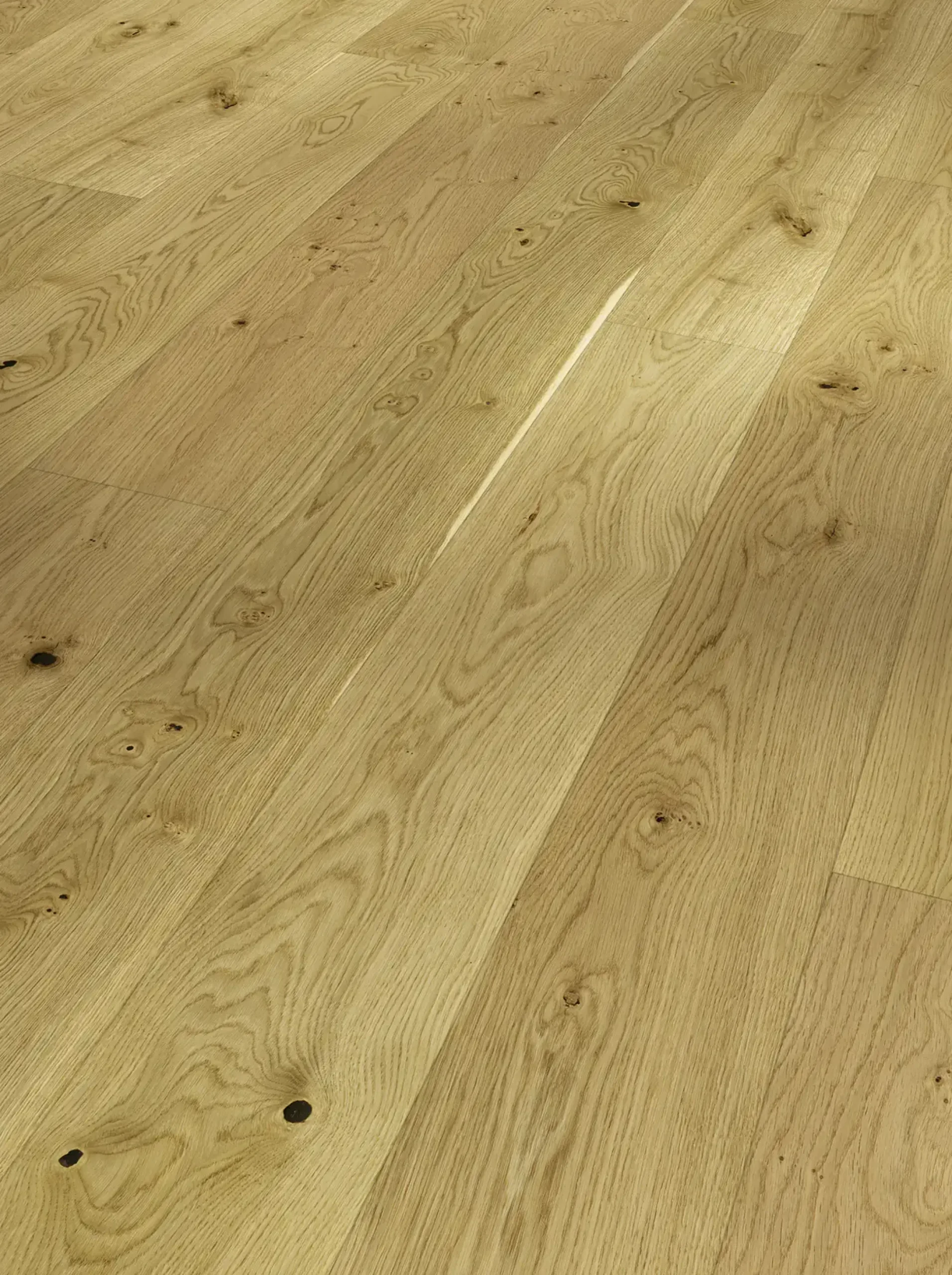 Parador Parkett Basic 11-5 Rustikal Eiche lackversiegelt matt