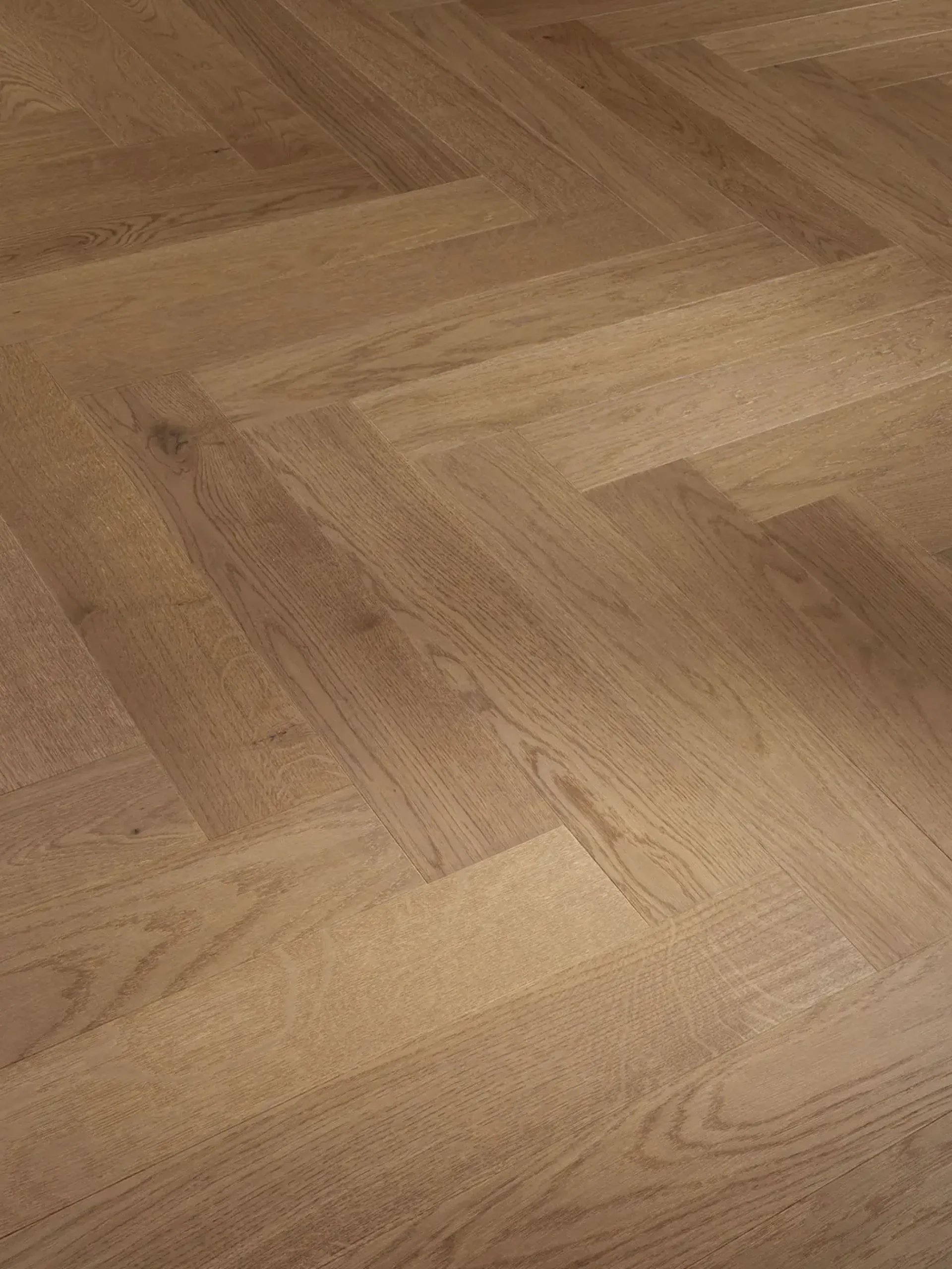 Parador Parkett Trendtime Eiche nougat matt