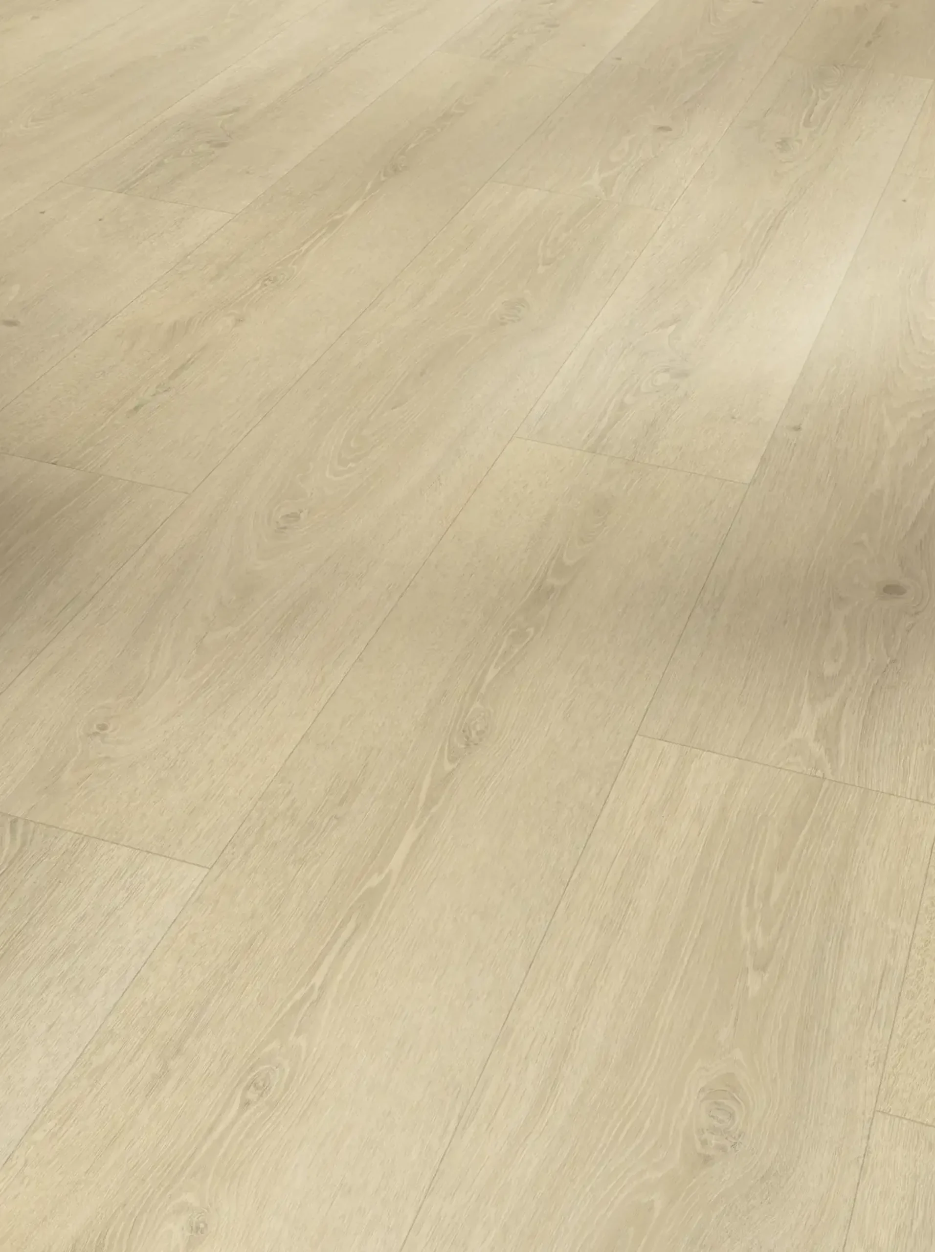 Parador Vinyl Basic 5.3 Eiche Studioline geschliffen