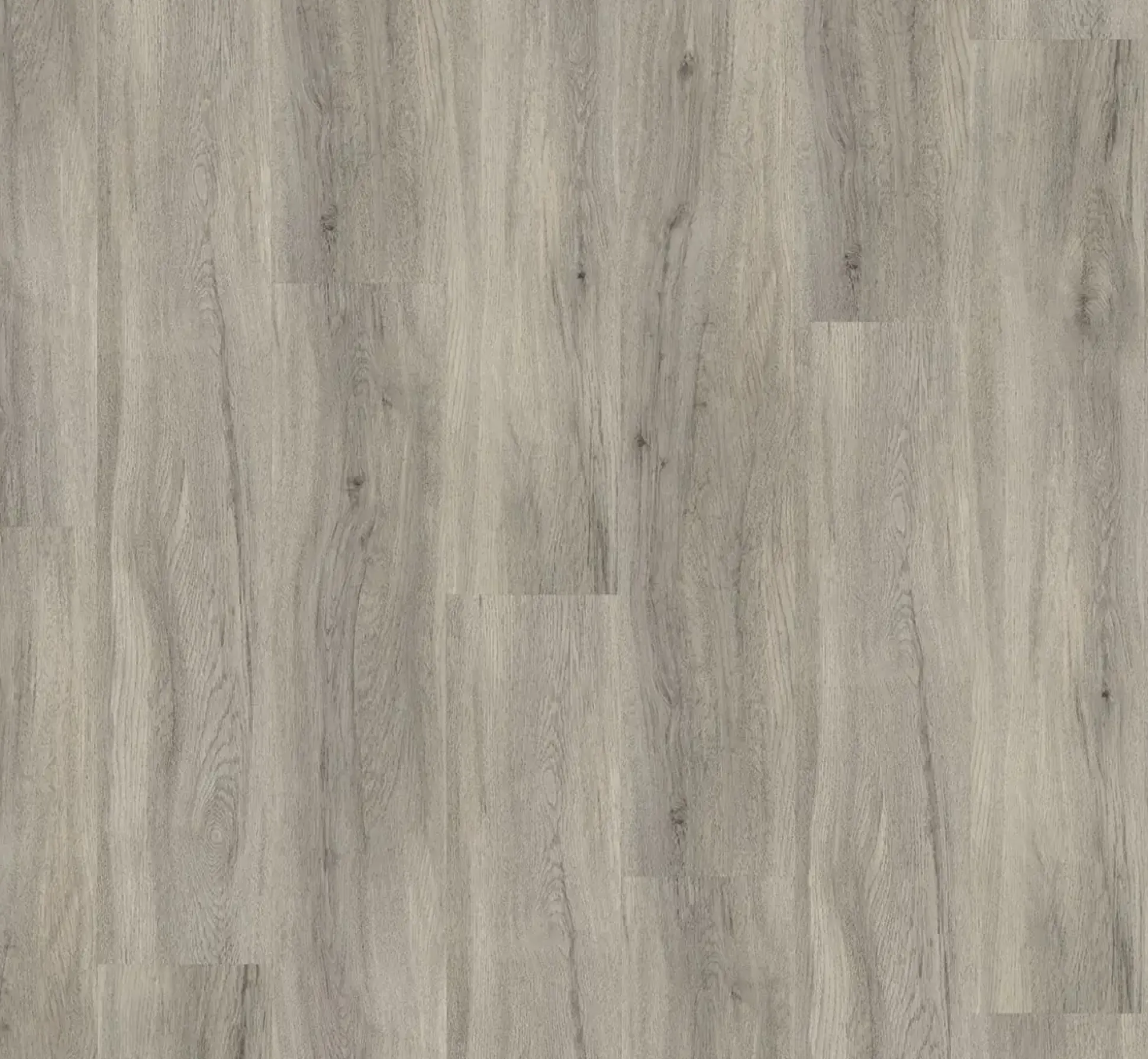 Parador Vinyl Basic 30 Eiche pastellgrau Landhausdiele