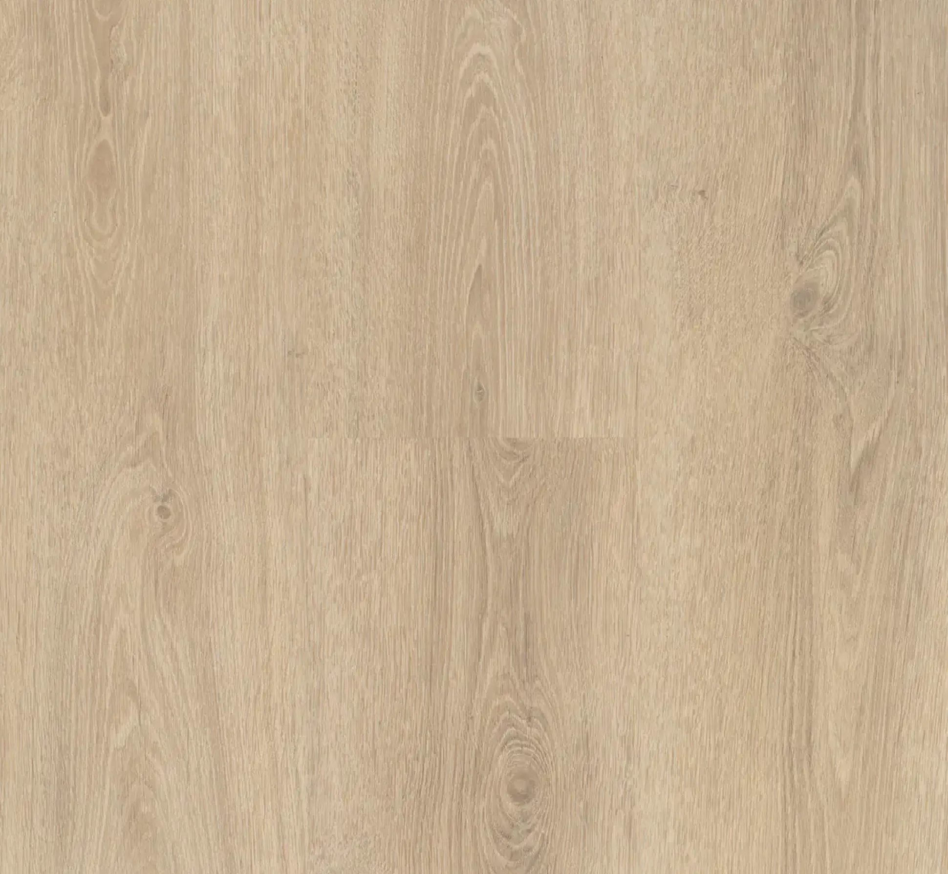 Parador Vinyl Basic 30 Eiche Studioline geschliffen Landhausdiele