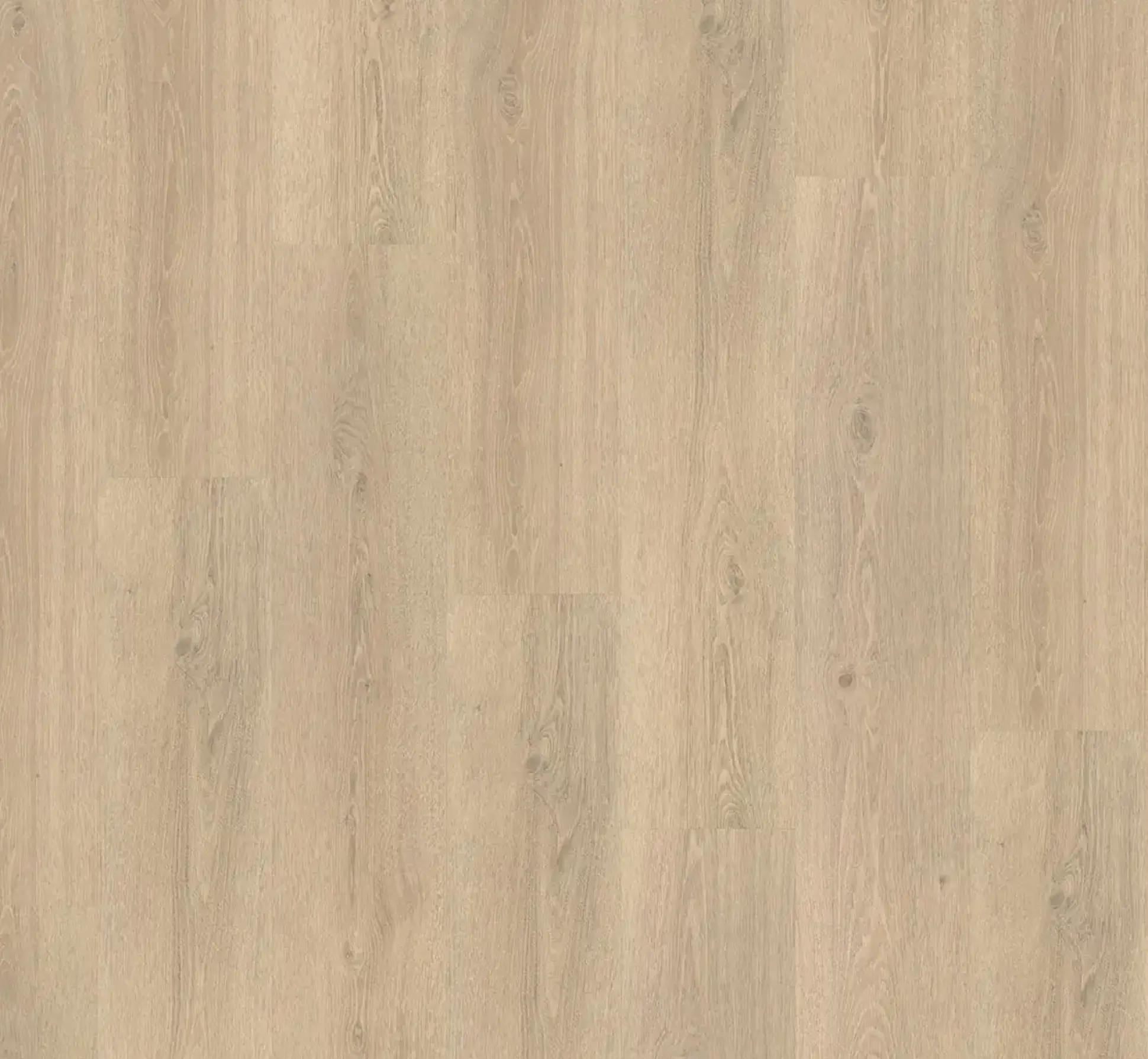 Parador Vinyl Basic 30 Eiche Studioline geschliffen Landhausdiele