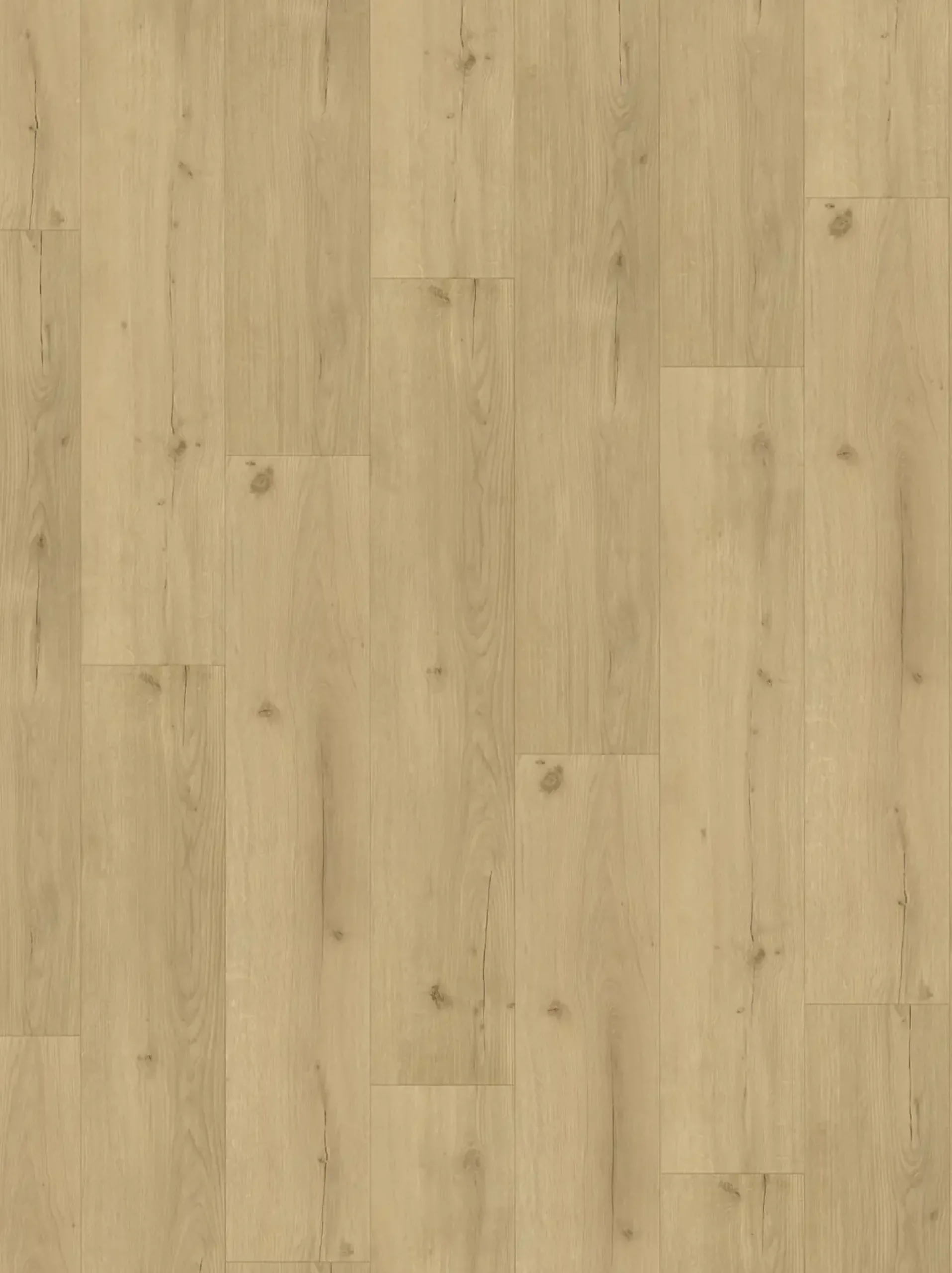Parador Vinyl Basic 5.3 Eiche Infinity natur Landhausdiele