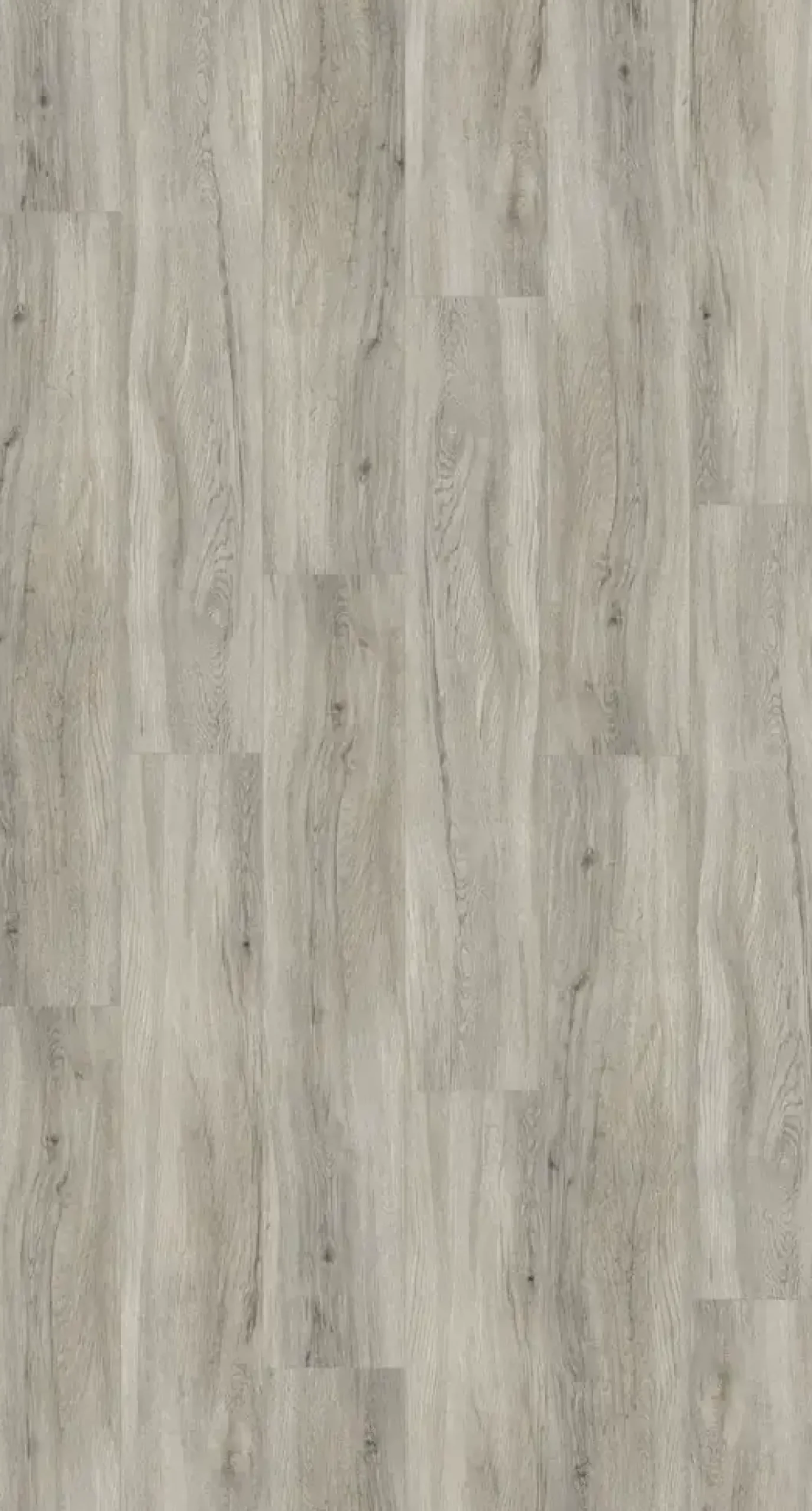 Parador Vinylboden Basic 5.3 Eiche pastellgrau