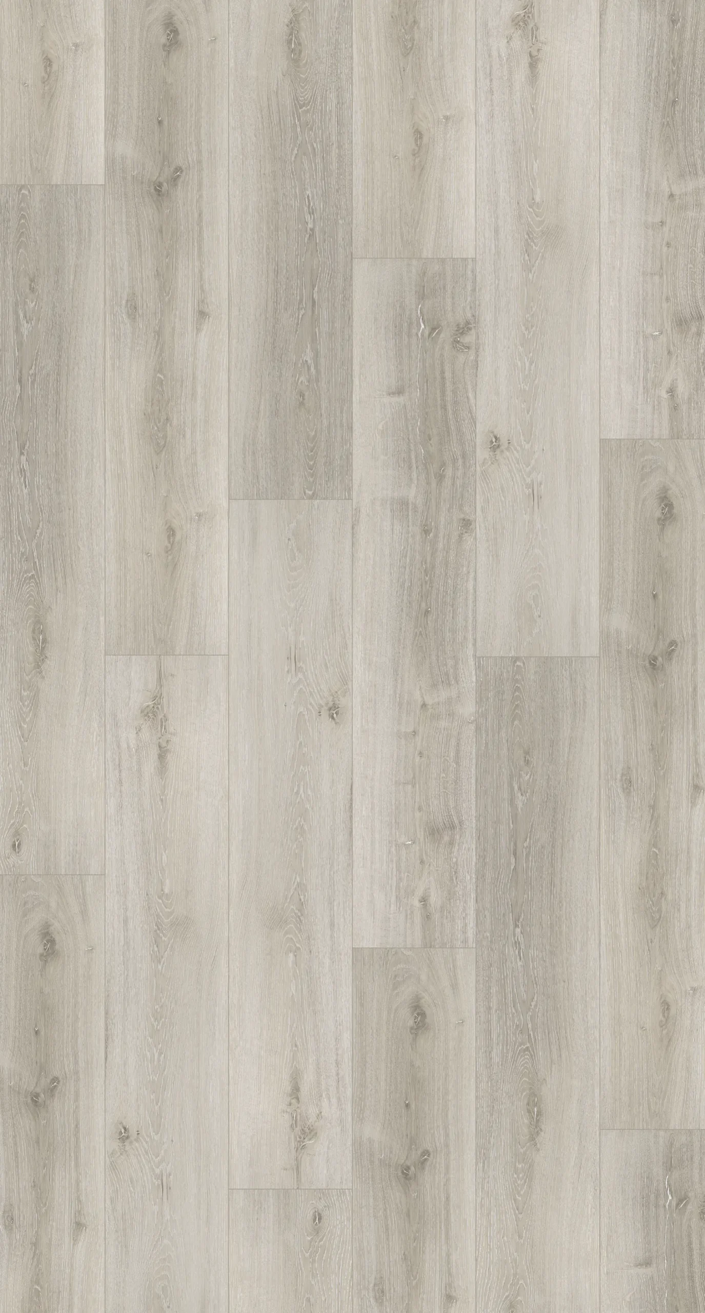 Parador Vinylboden Basic 5.3 Eiche grau geweisst