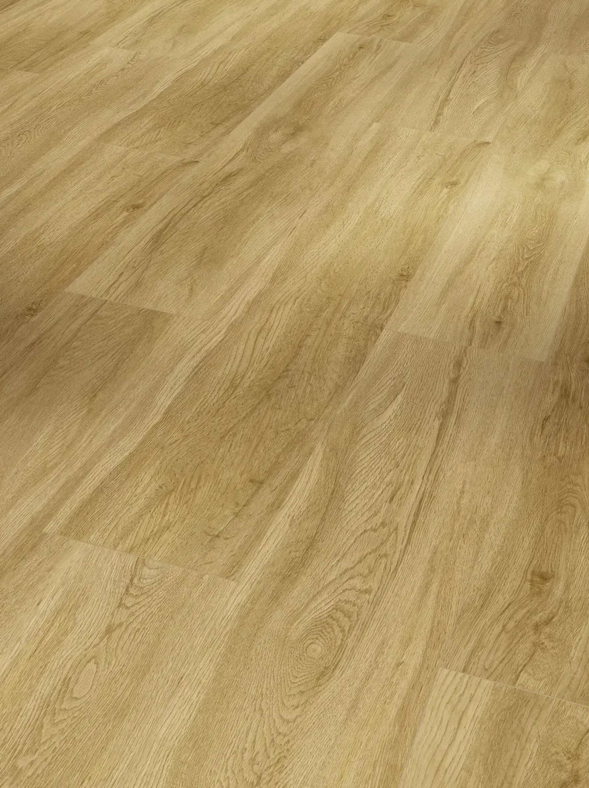 Parador Vinylboden Basic 5.3 Eiche Sierra natur