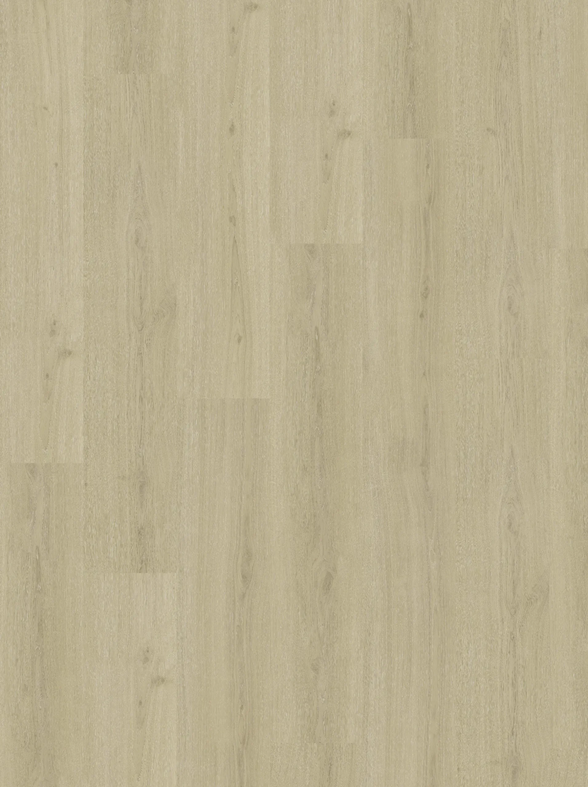 Parador Vinylboden mit Trittschalldämmung Basic 30 Eiche regent beige
