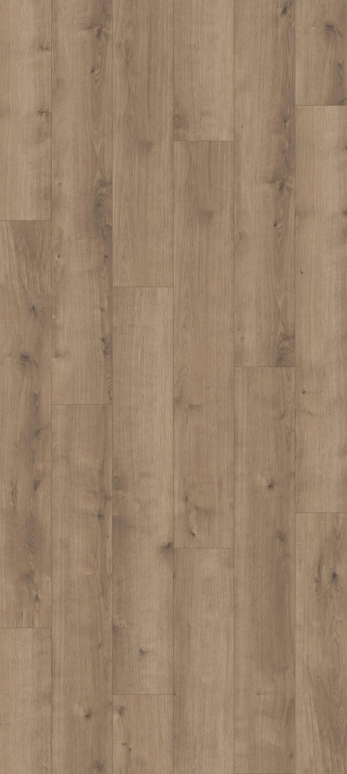 Parador Vinylboden Modular ONE Eiche Pure perlgrau Landhaus
