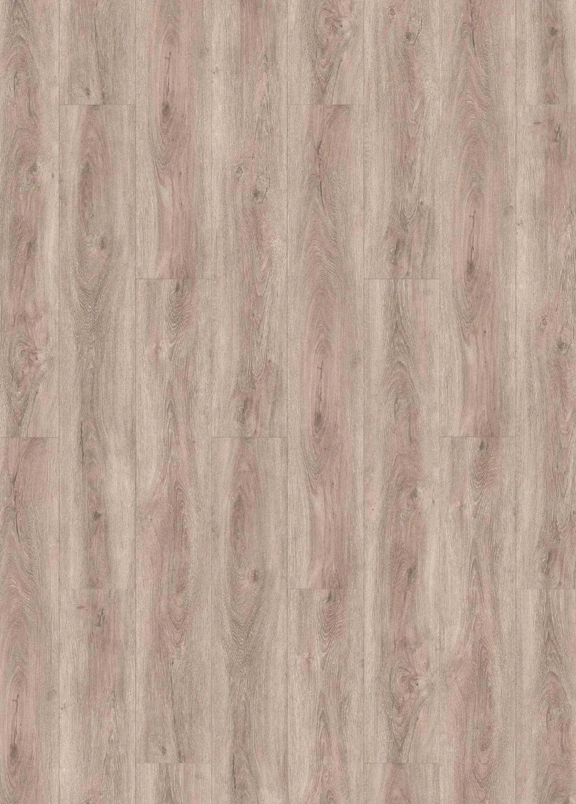 Primaster Vinylboden Eiche Natur