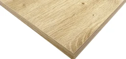 Regalboden Eiche astig 80 x 20 x 1,6 cm