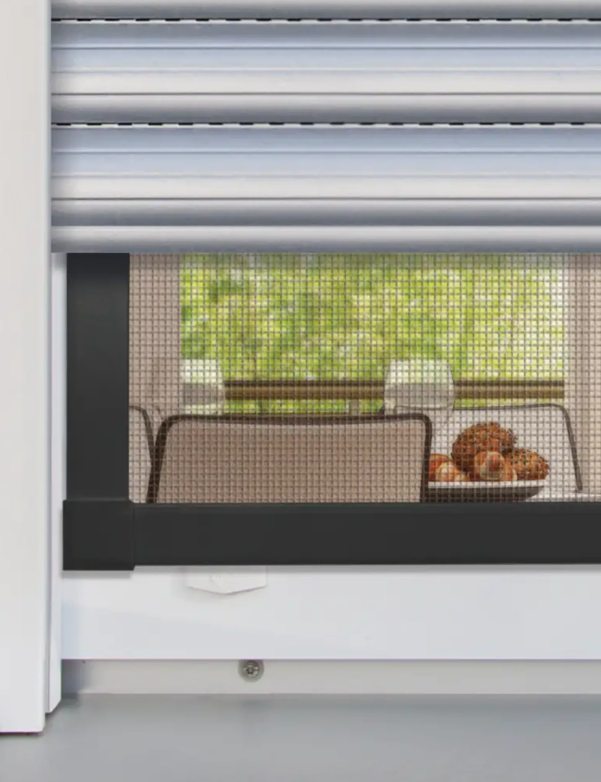 Schellenberg Fliegenschutz-Fenster PLUS 100 x 120 cm anthrazit/anthrazit kürzbar