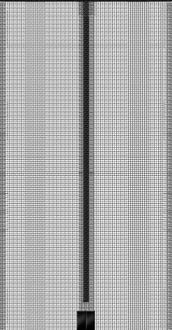 Schellenberg Fliegenschutz-Magnetvorhang 90 x 210 cm anthrazit kürzbar