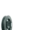 Schellenberg Gurtscheibe Maxi ß 17 cm anthrazit