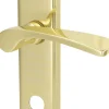 Südmetall Türgriff-Garnitur Langschild Nelson PZ Messing brüniert gold 237 x 45 mm