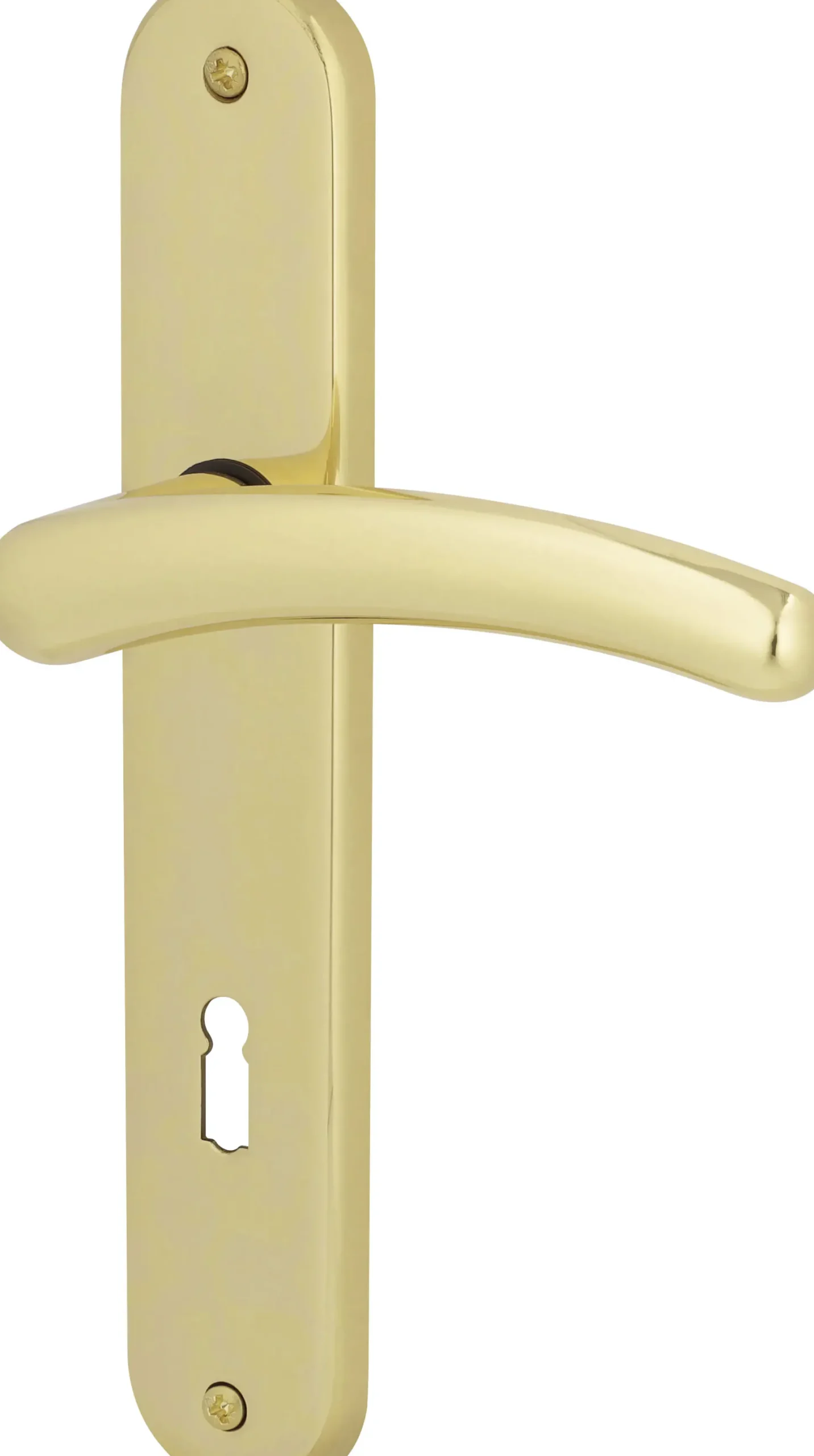 Südmetall Türgriff-Garnitur Langschild Franziska BB Messing poliert gold 225 x 40 mm