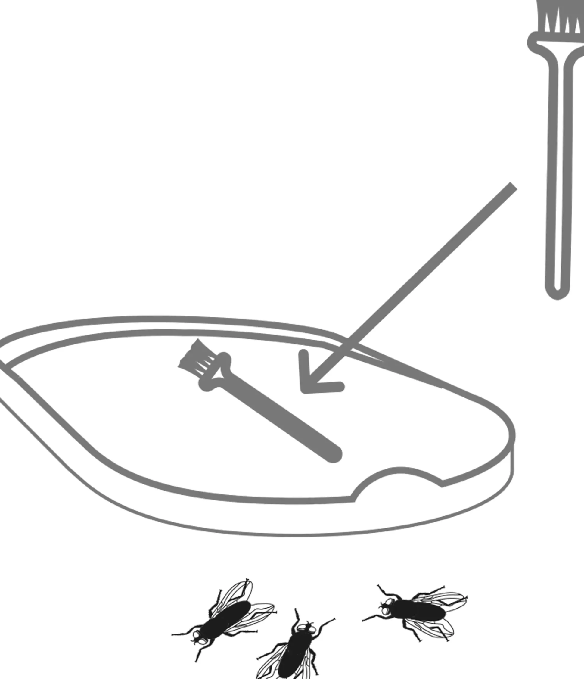 Swissinno Elektrische Insektenfalle LED 10 Watt