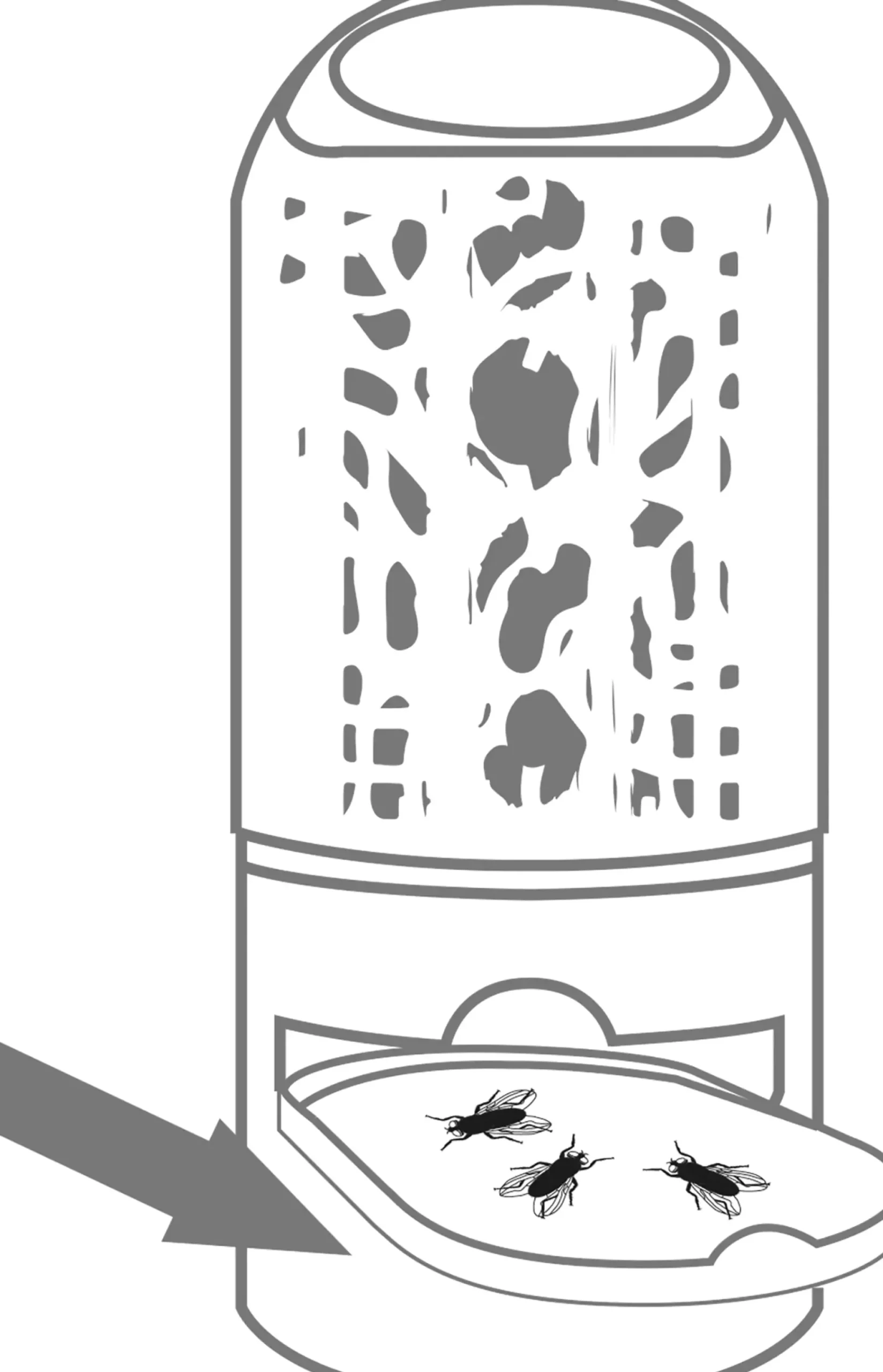 Swissinno Elektrische Insektenfalle LED 10 Watt