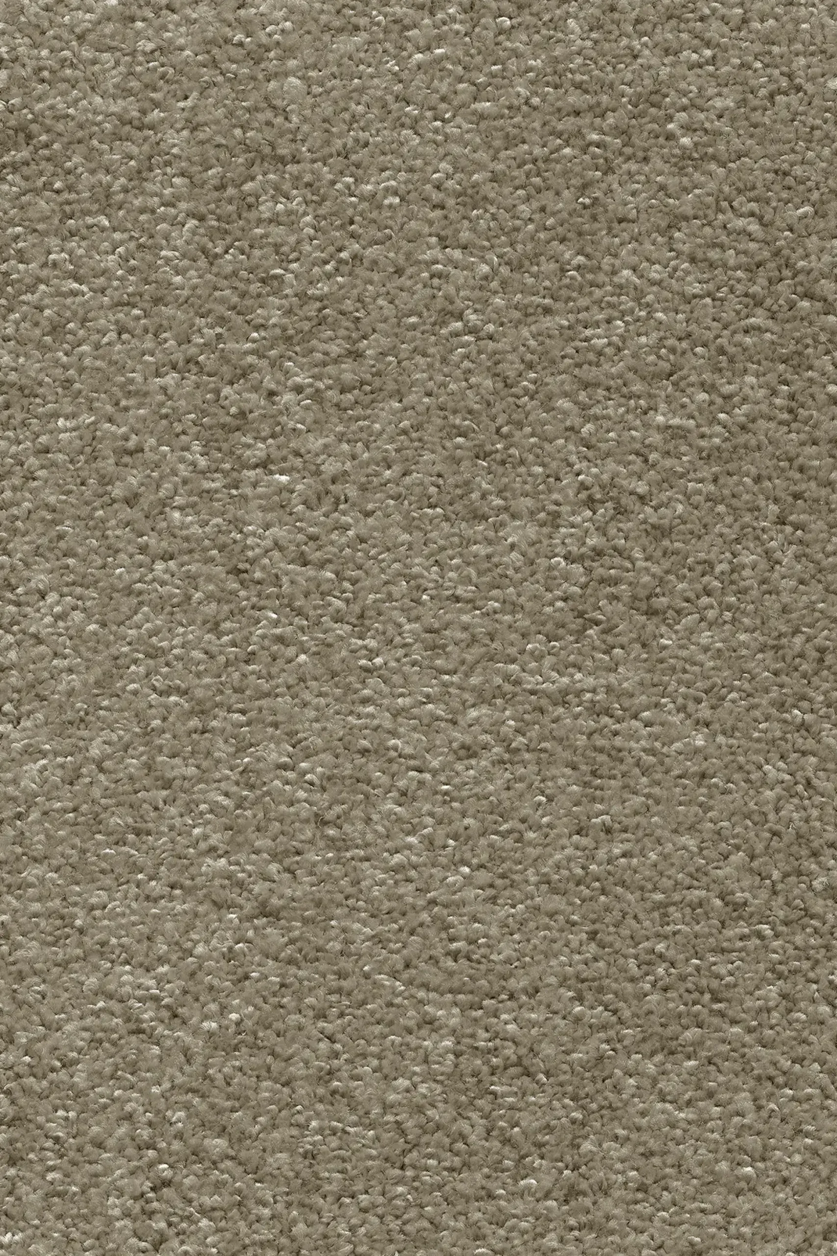 Teppichboden Ella beige 4 m breit (Meterware)