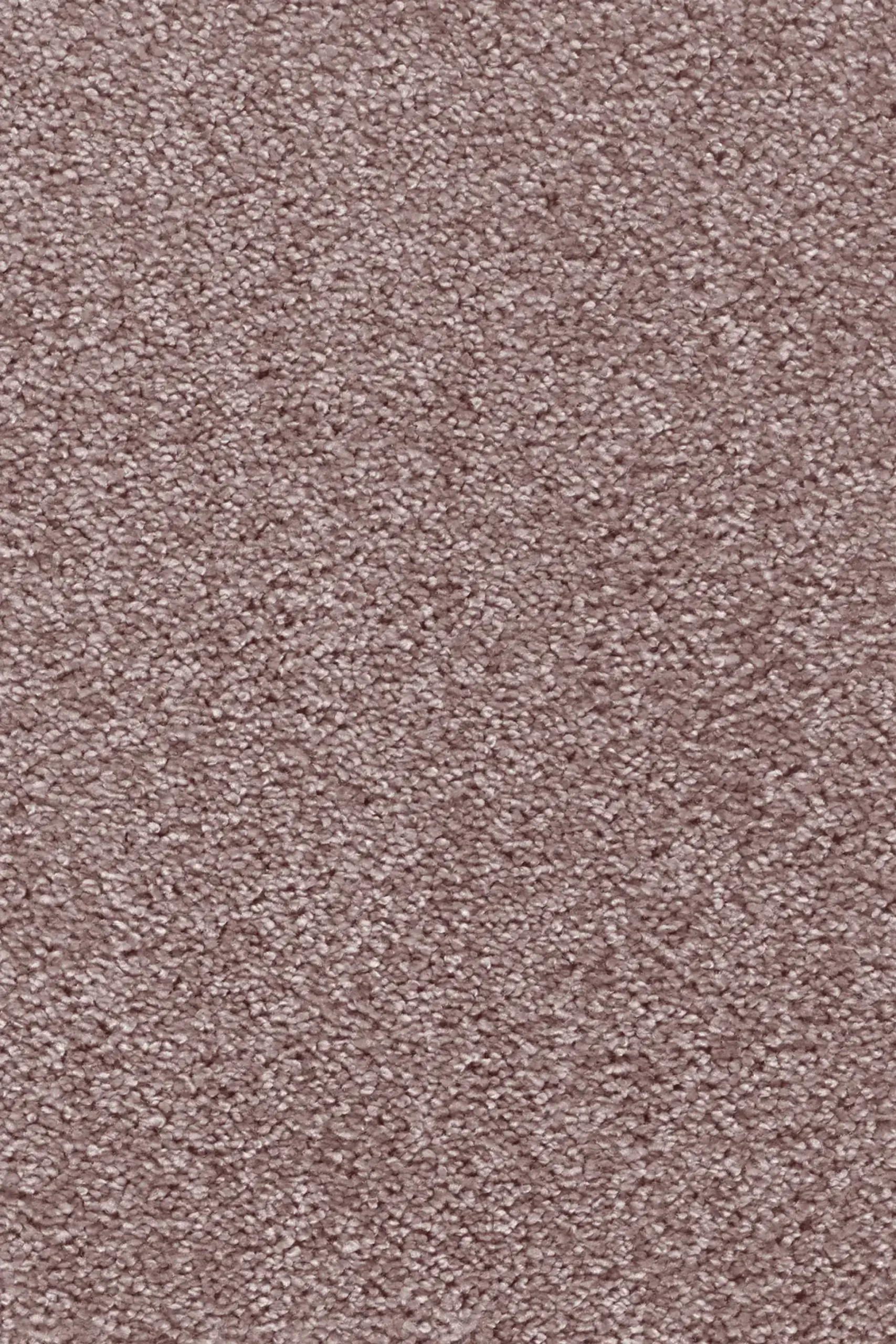 Teppichboden Lea altrosa 4 m breit (Meterware)