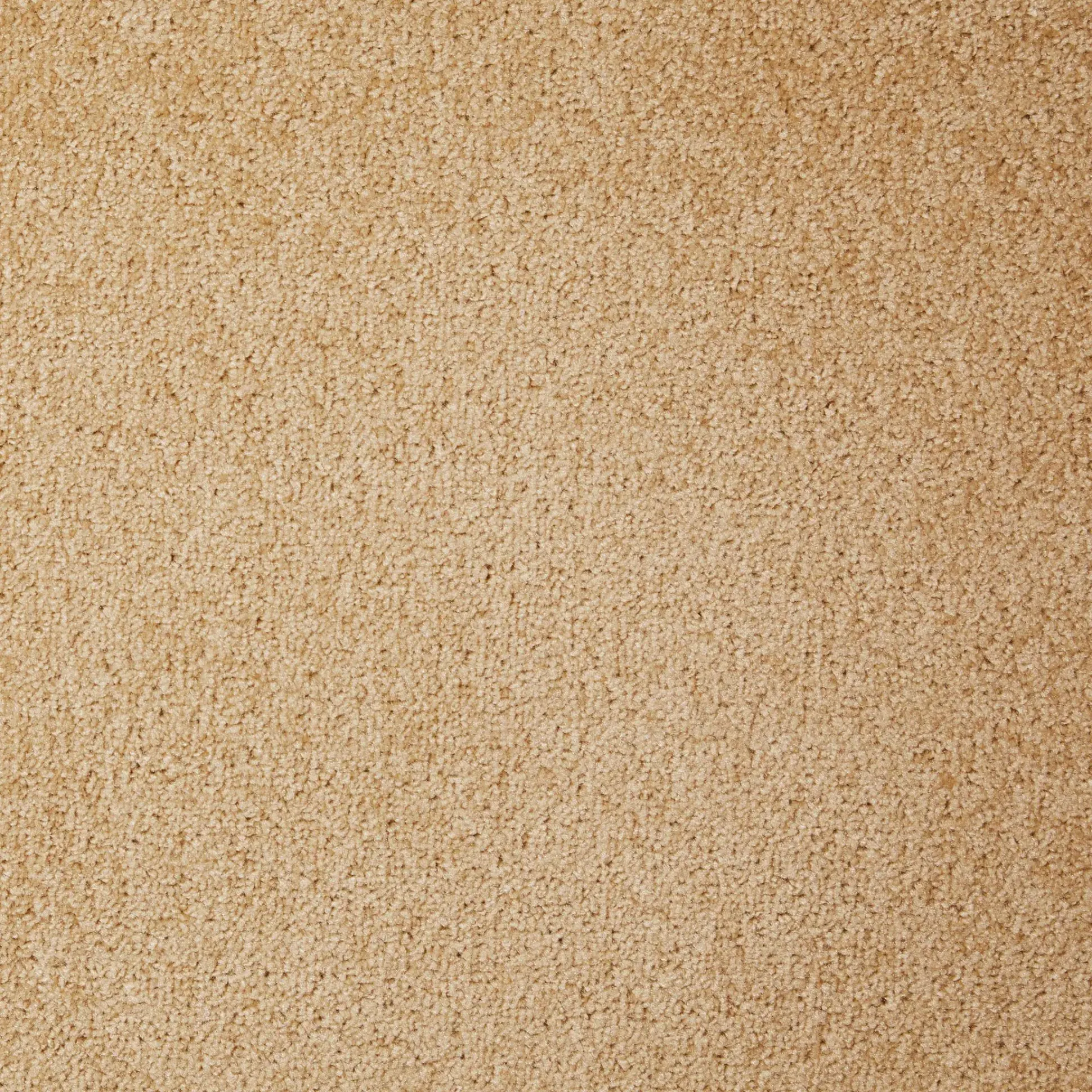 Teppichboden Lisa beige 4 m breit (Meterware)