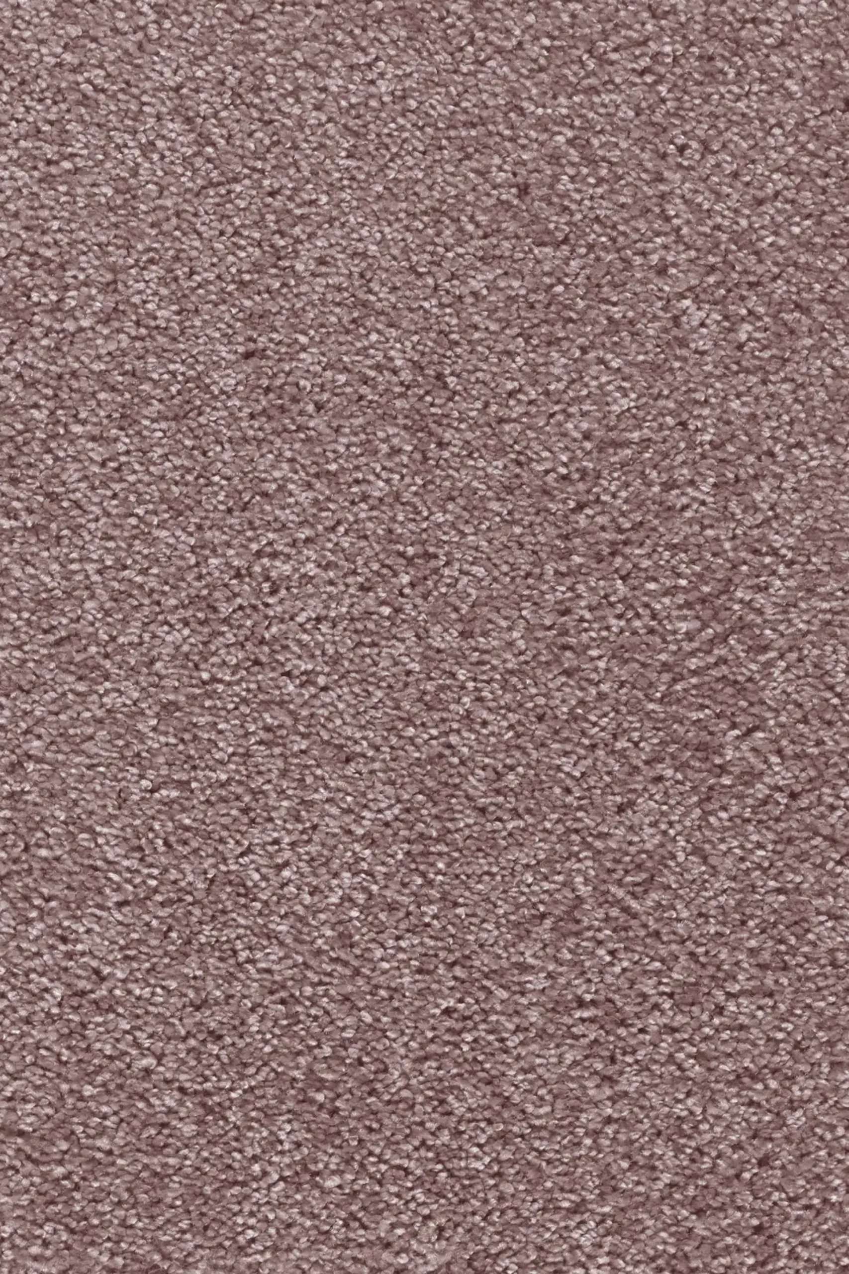 Teppichboden Lea altrosa 5 m breit (Meterware)