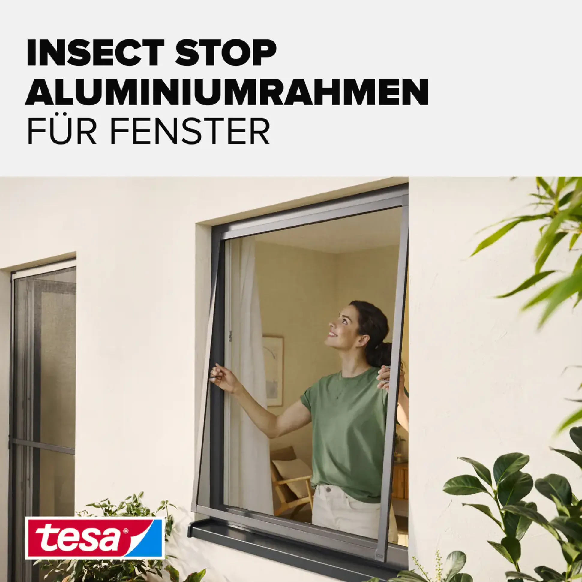 tesa Insektenschutz-Fenster COMFORT 120 x 150 cm anthrazit